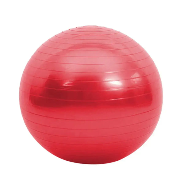 The Ball Depot yoga ball: Inflatable Balance Large Yoga Ball