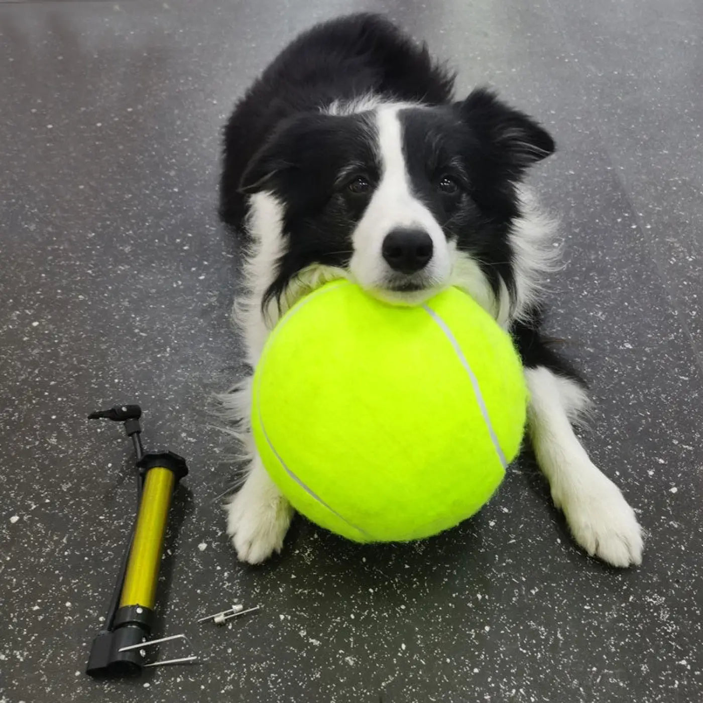 The Ball Depot dog ball: Inflatable Tennis Pet Ball
