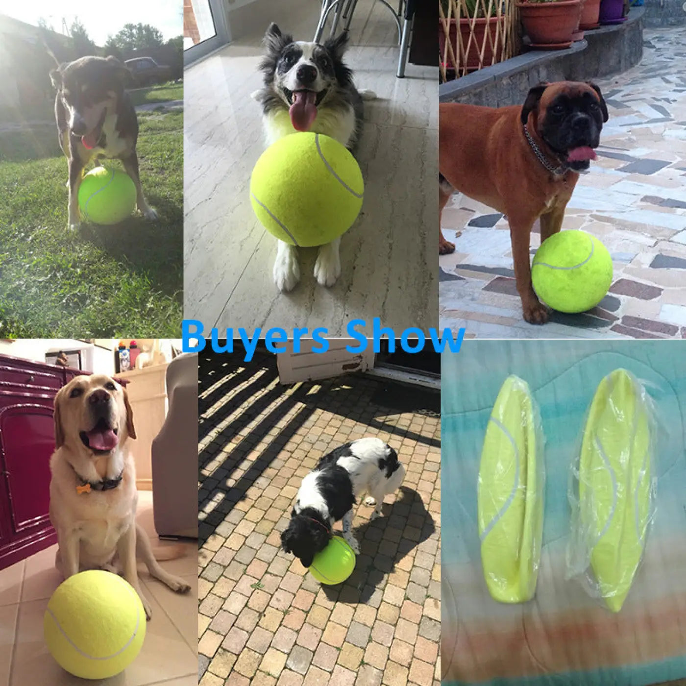 The Ball Depot dog ball: Inflatable Tennis Pet Ball