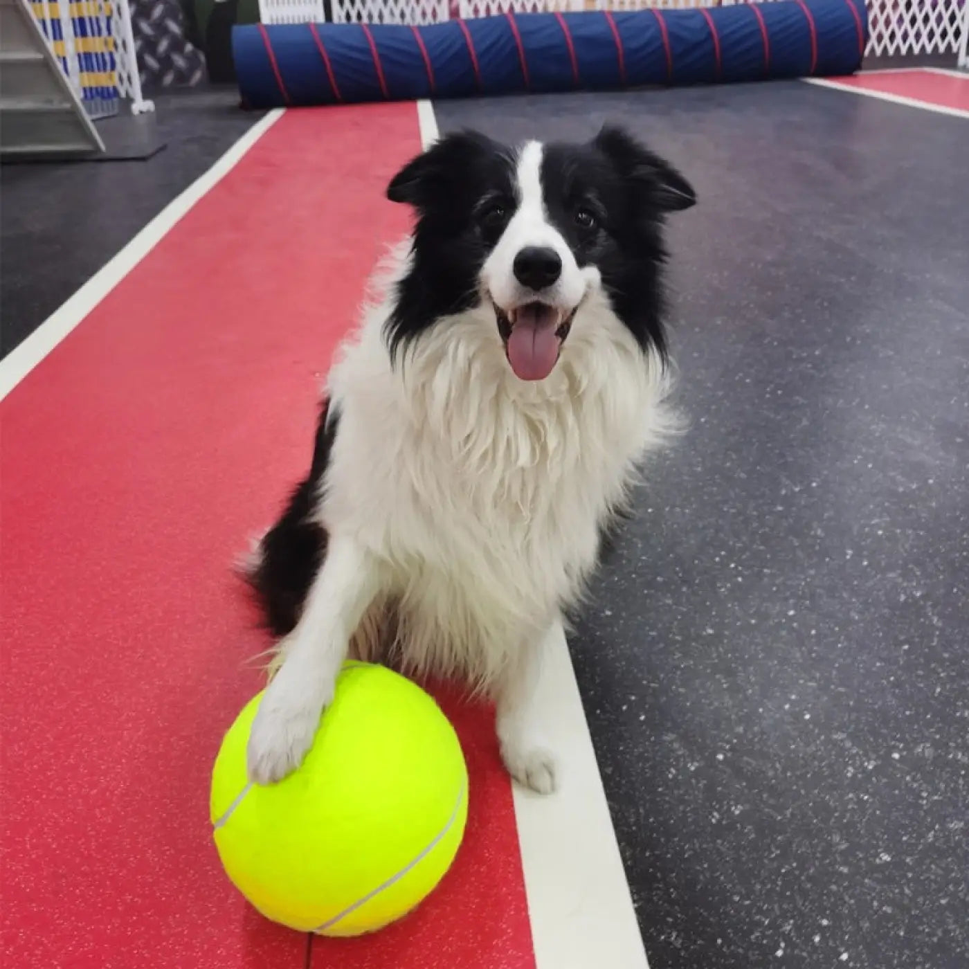 The Ball Depot dog ball: Inflatable Tennis Pet Ball