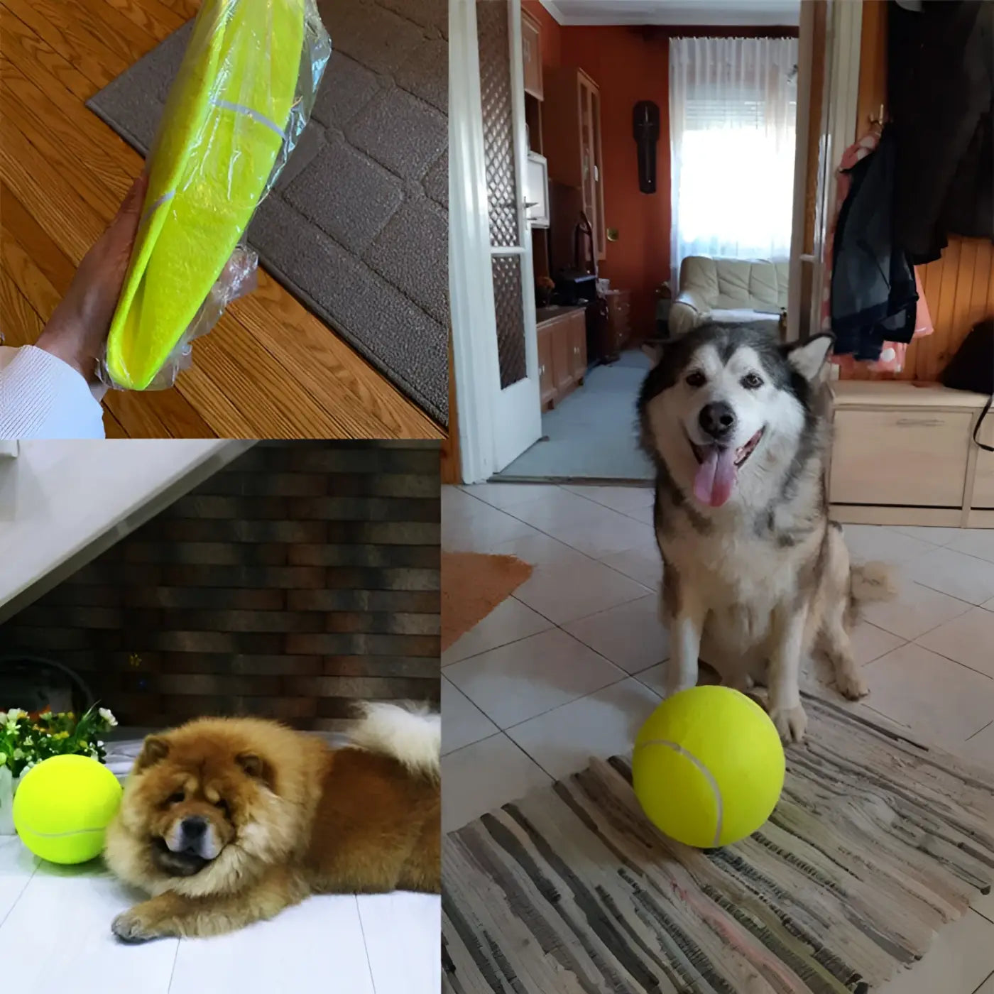 The Ball Depot dog ball: Inflatable Tennis Pet Ball