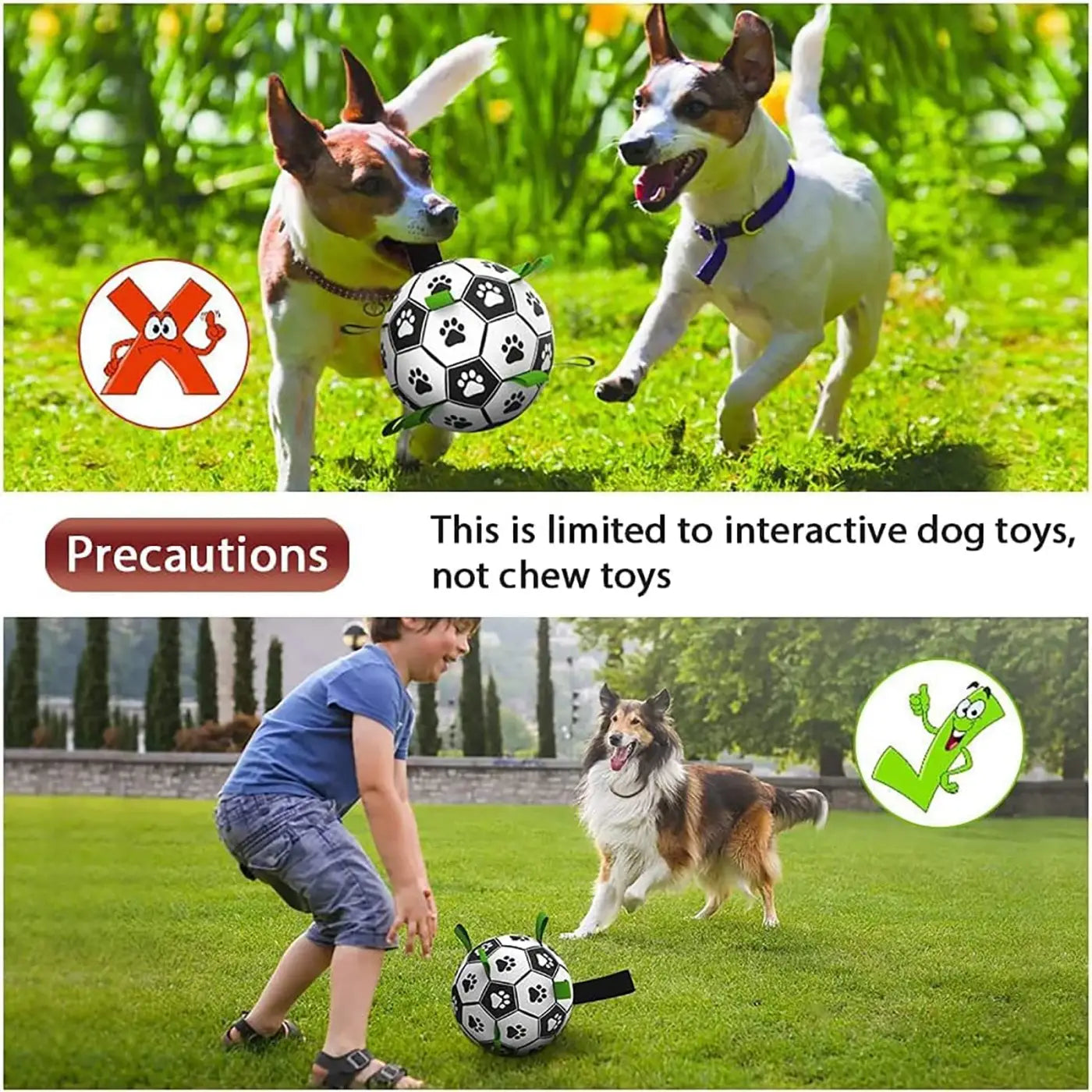 The Ball Depot dog ball: Interactive dog ball