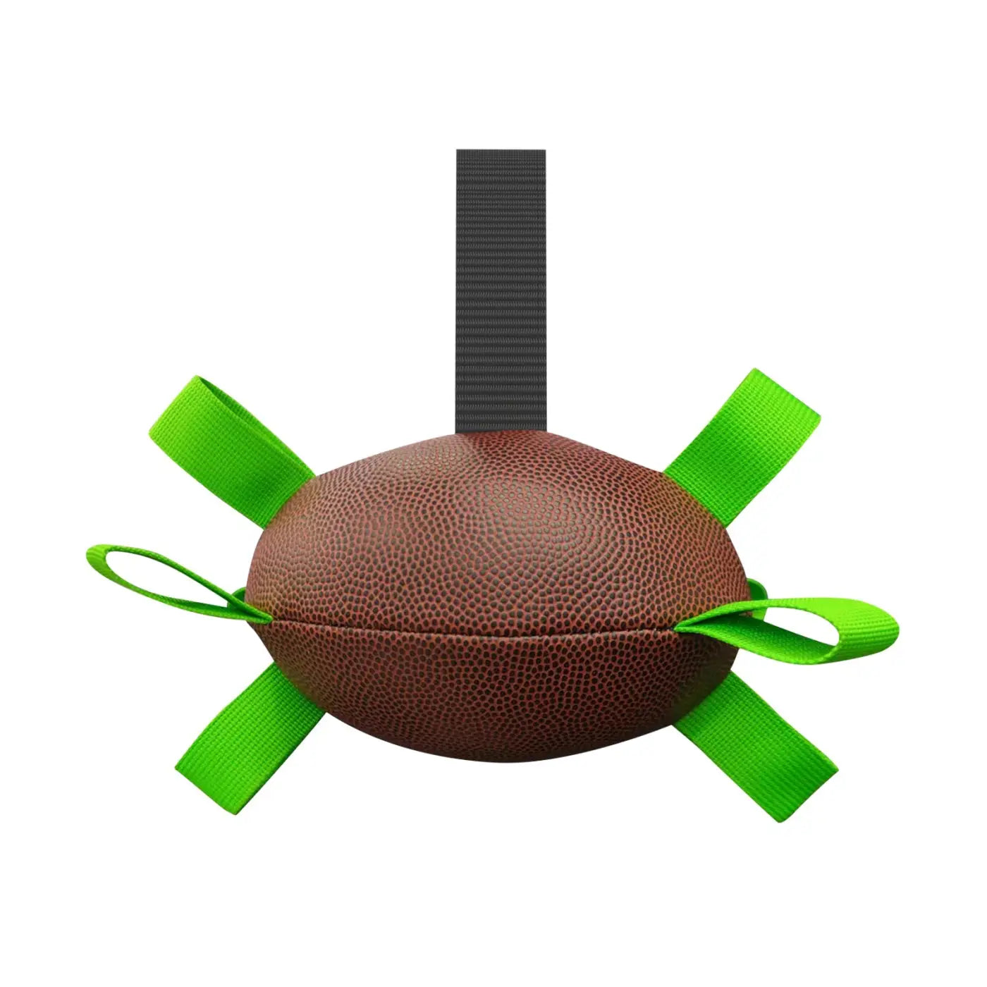 The Ball Depot dog ball: Interactive dog ball