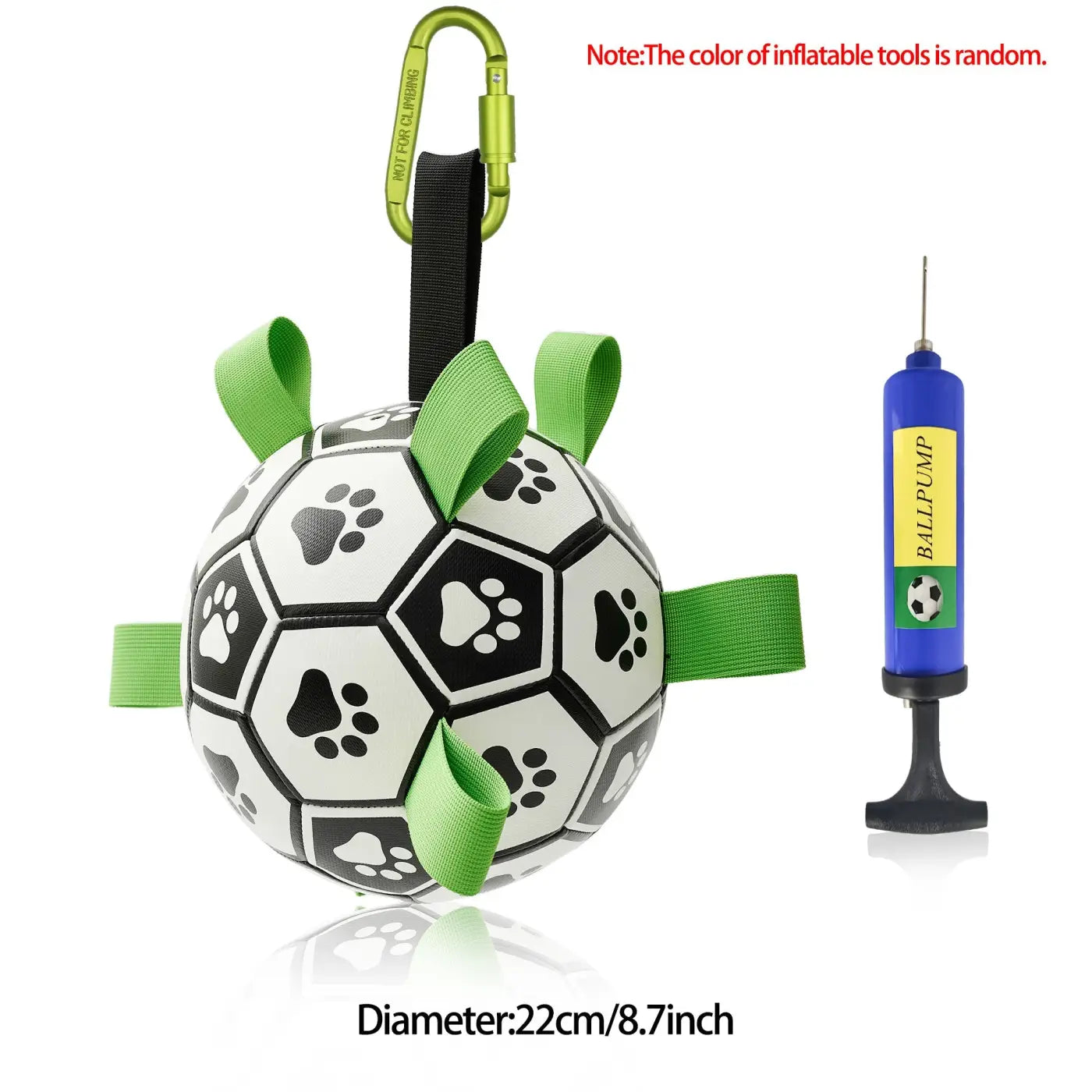 The Ball Depot dog ball: Interactive dog ball