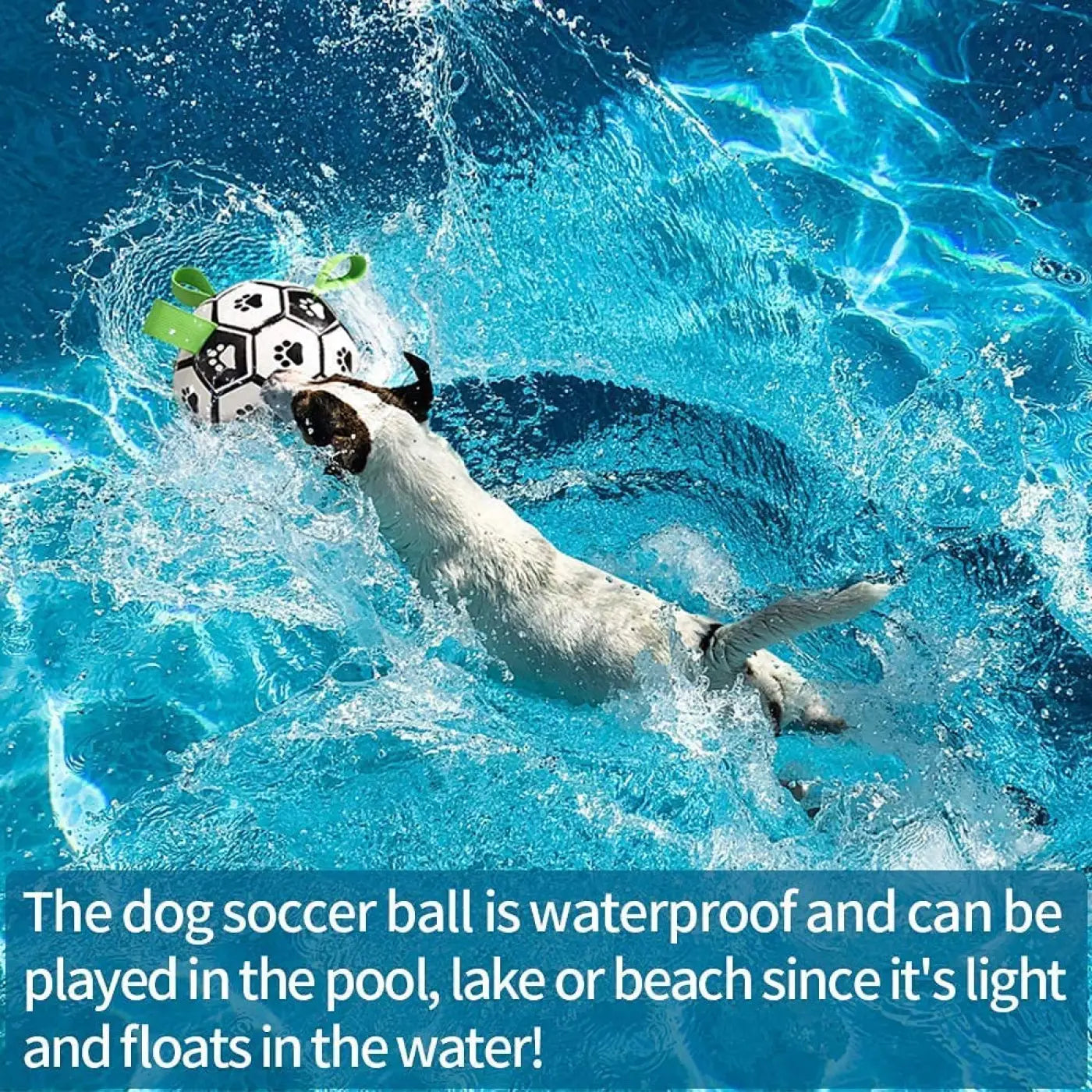 The Ball Depot dog ball: Interactive dog ball