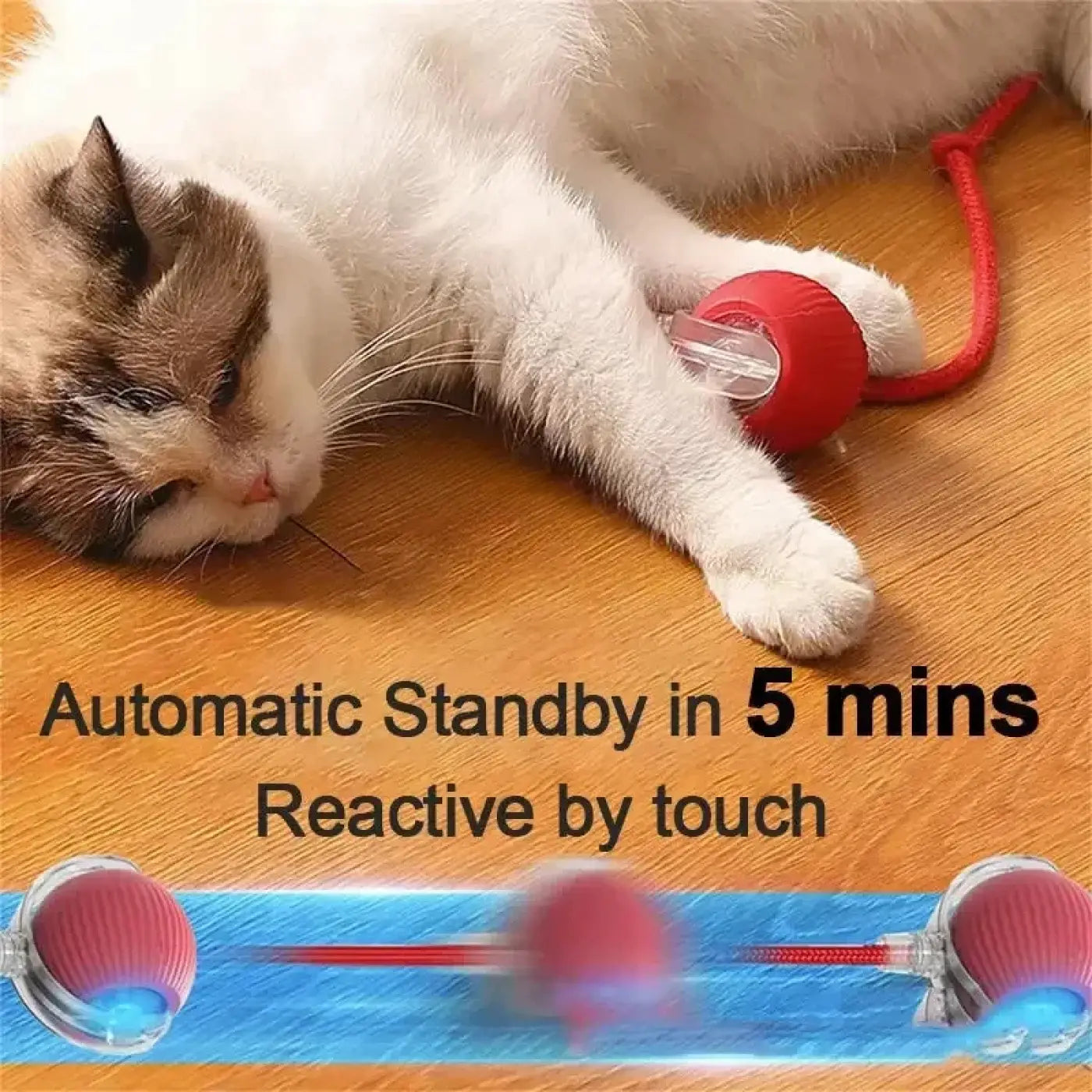 The Ball Depot Cat Balls: Interactive Rechargeable Cat Ball Toy
