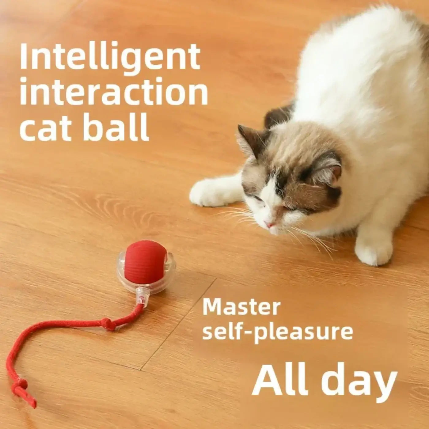 The Ball Depot Cat Balls: Interactive Rechargeable Cat Ball Toy