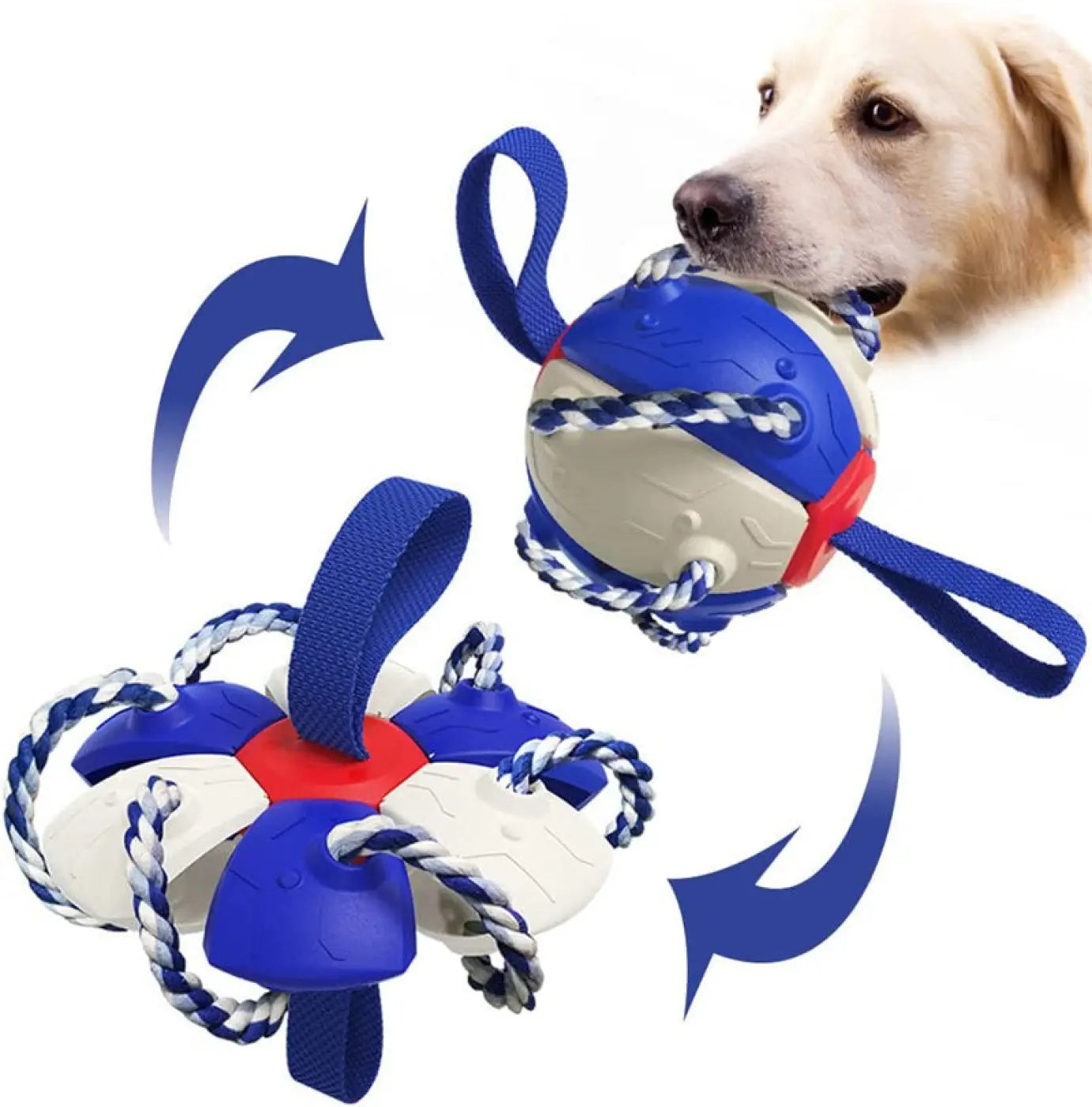 The Ball Depot dog Balls: Interactive Smart Dog Ball