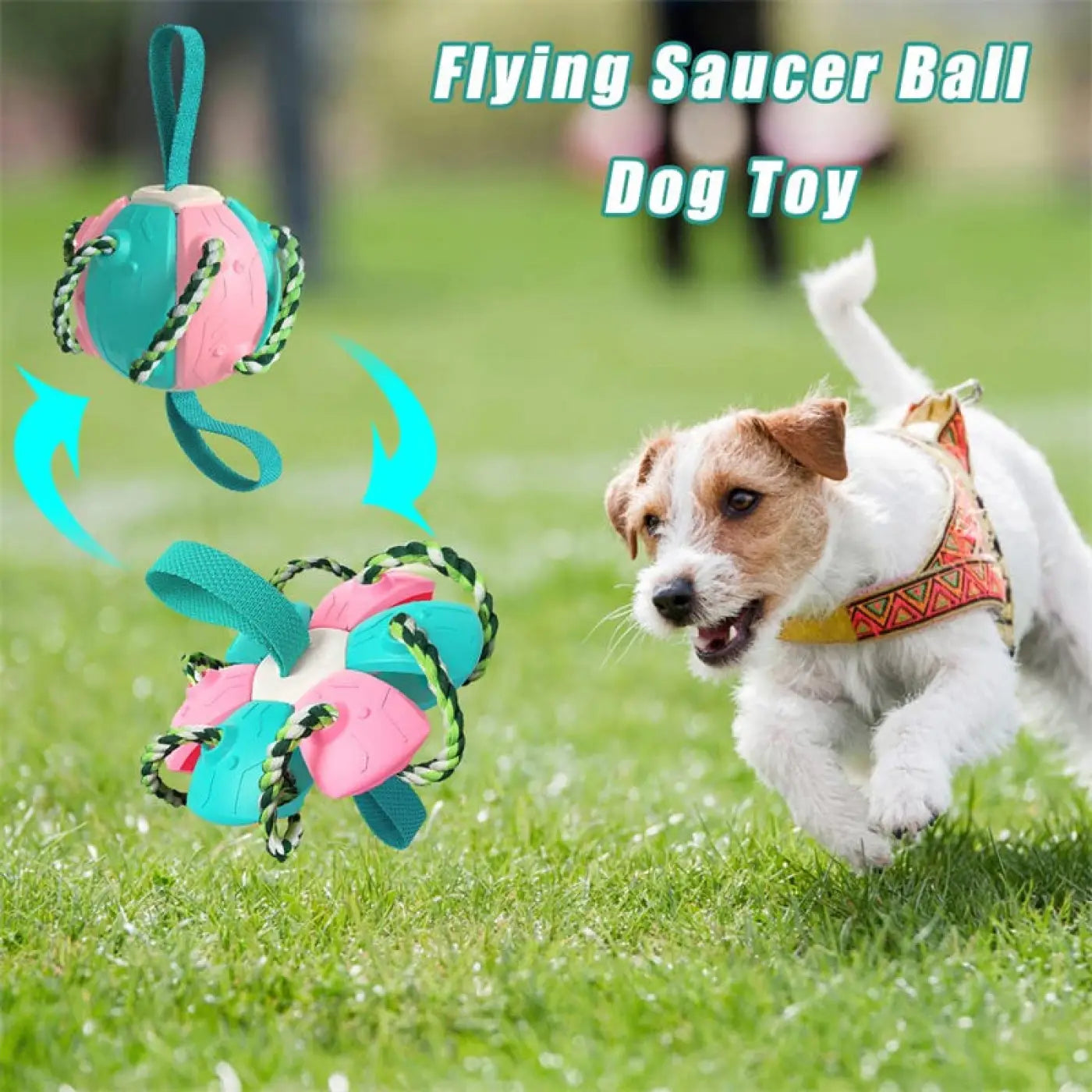 The Ball Depot dog Balls: Interactive Smart Dog Ball