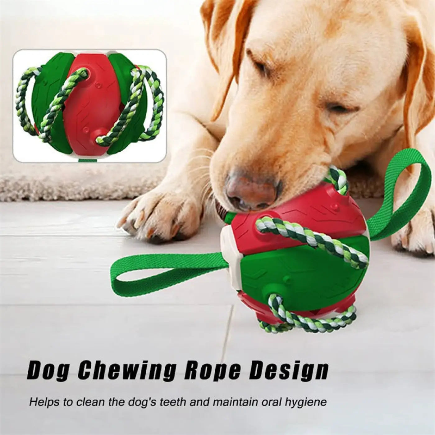The Ball Depot dog Balls: Interactive Smart Dog Ball