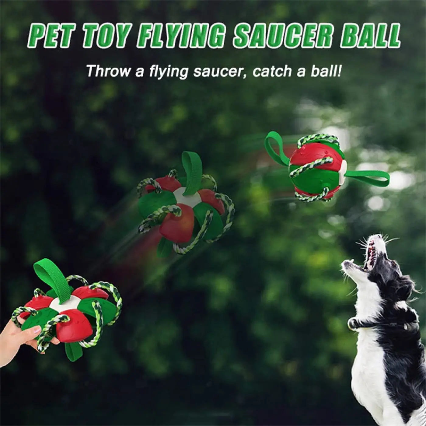 The Ball Depot dog Balls: Interactive Smart Dog Ball