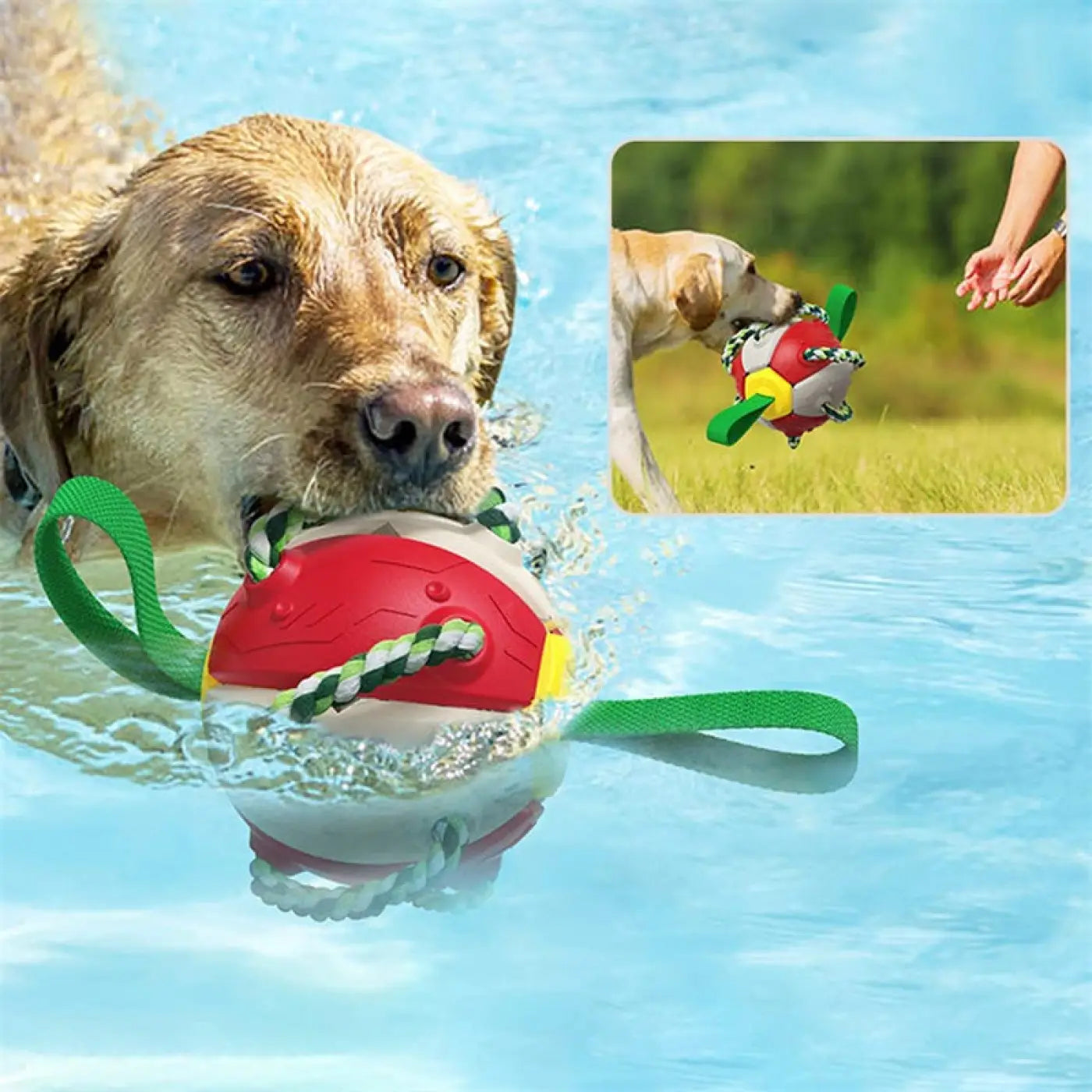 The Ball Depot dog Balls: Interactive Smart Dog Ball