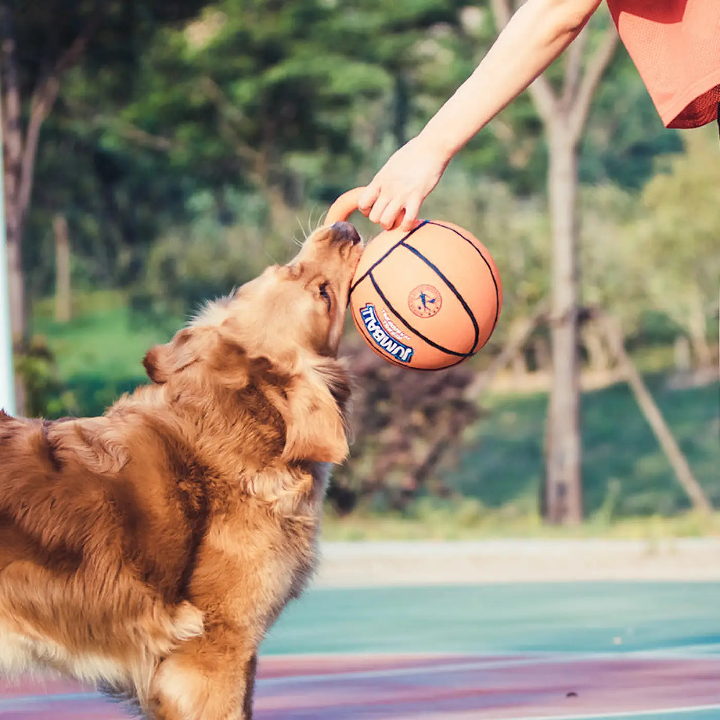 The Ball Depot dog ball: Jianbao Dog Ball