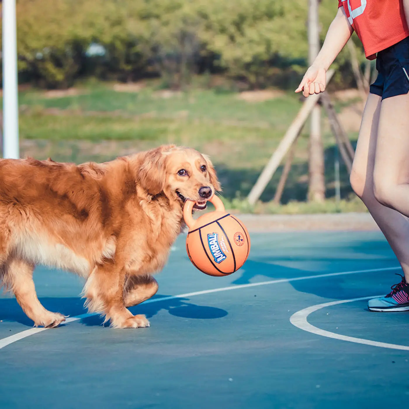 The Ball Depot dog ball: Jianbao Dog Ball