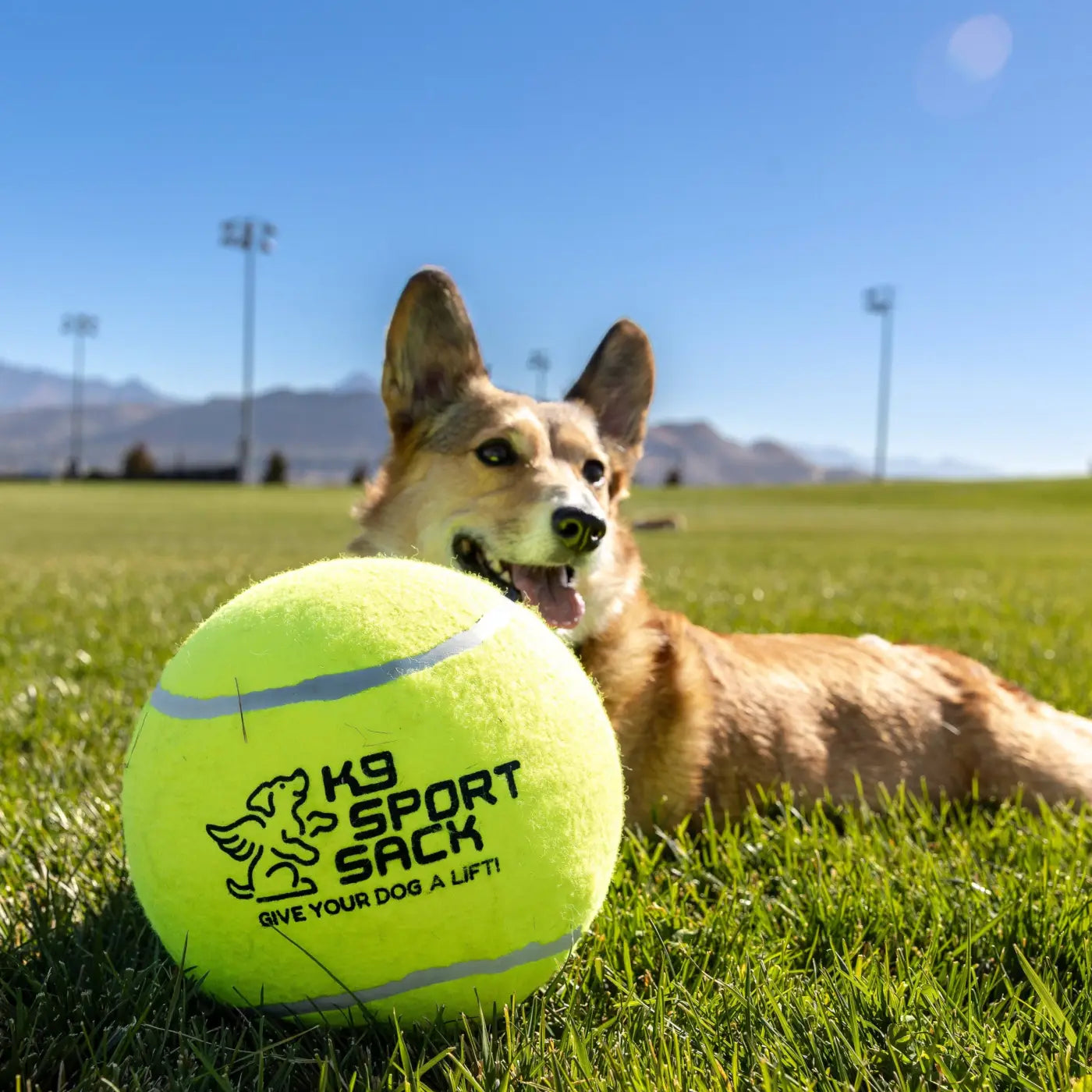 The Ball Depot dog ball: K9 Sport Giant 9" Tennis Ball