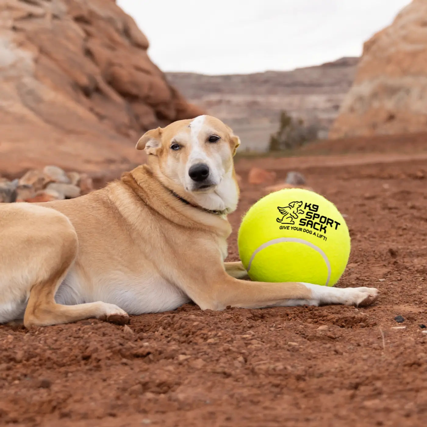 The Ball Depot dog ball: K9 Sport Giant 9" Tennis Ball