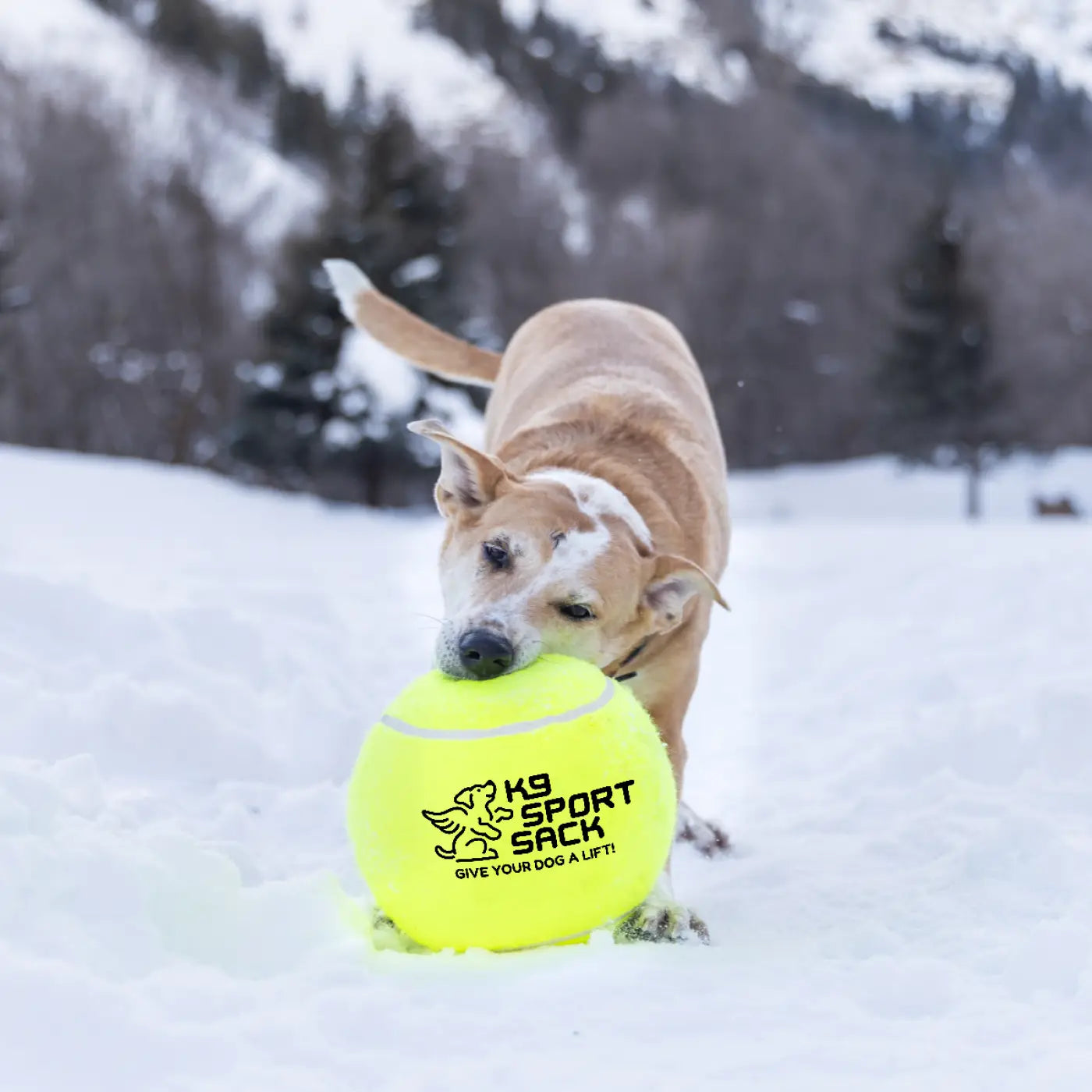 The Ball Depot dog ball: K9 Sport Giant 9" Tennis Ball