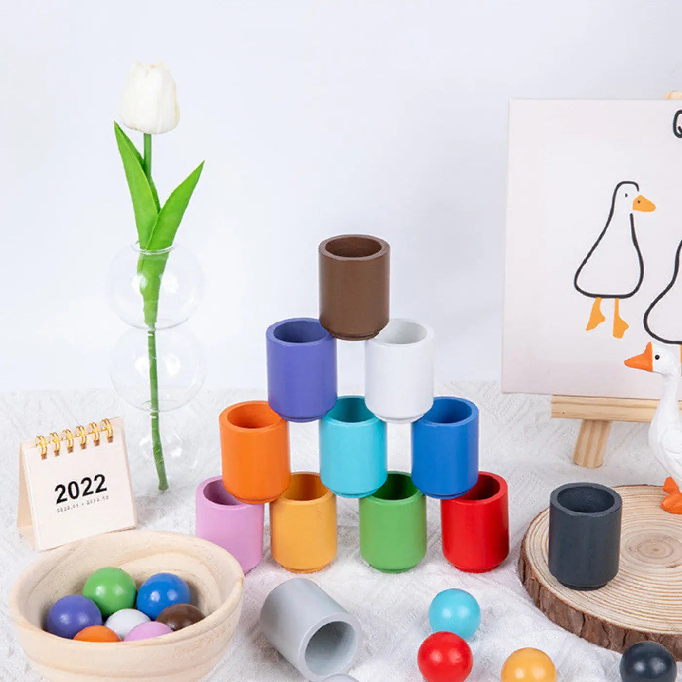 The Ball Depot learning balls: Kids Color Classification Balls