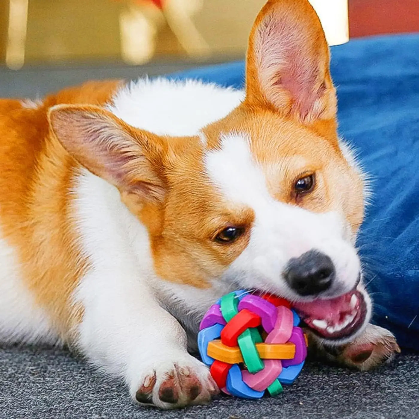 The Ball Depot dog balls: Light Up Bell Dog Balls
