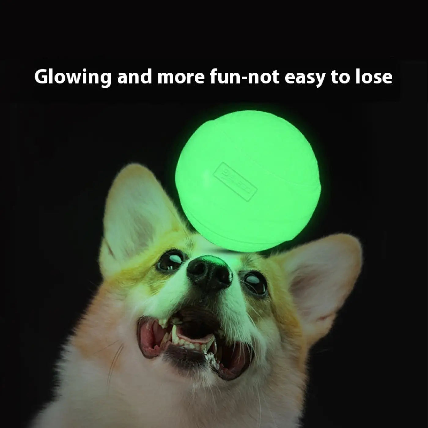 The Ball Depot dog ball: Luminous Rubber Dog Ball