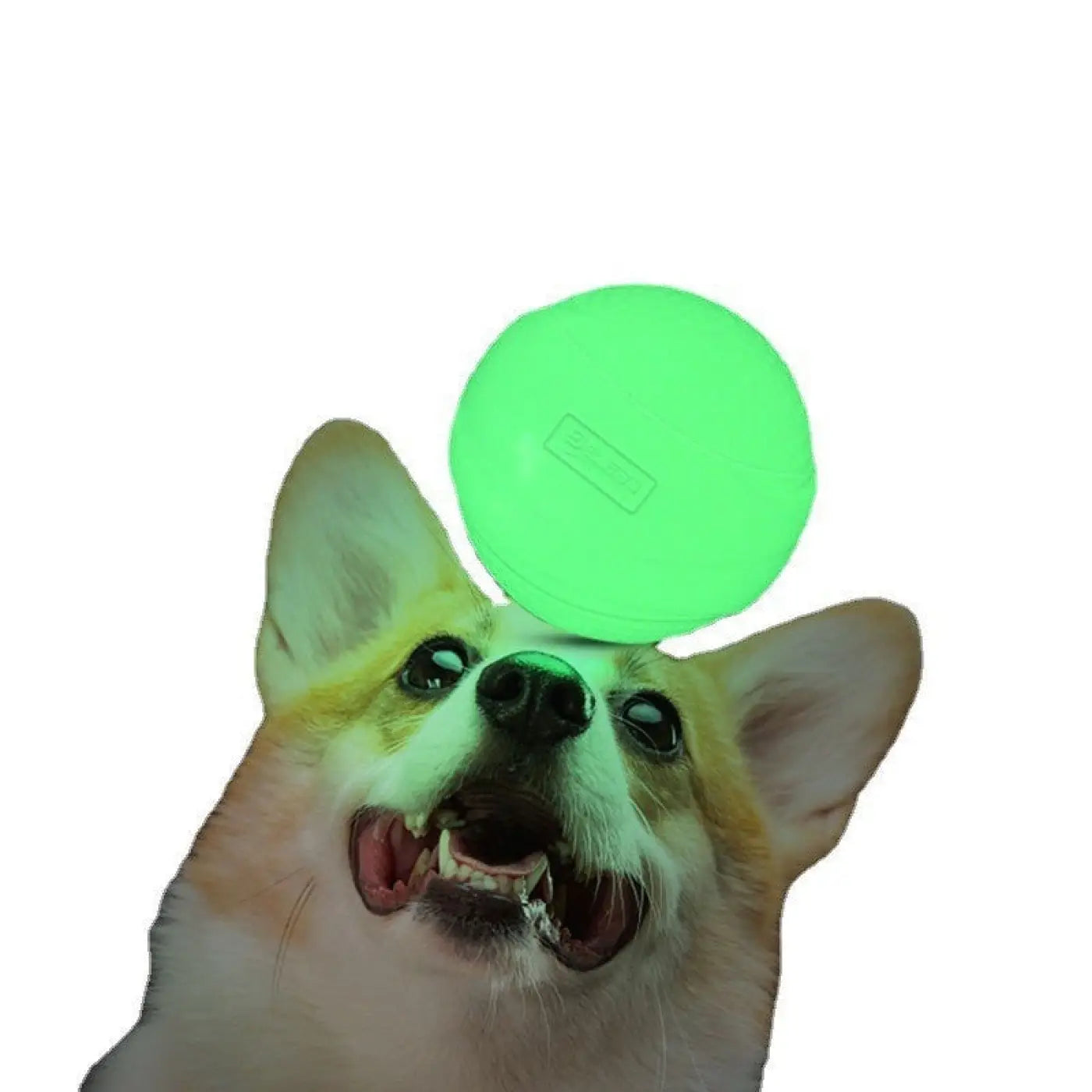 The Ball Depot dog ball: Luminous Rubber Dog Ball