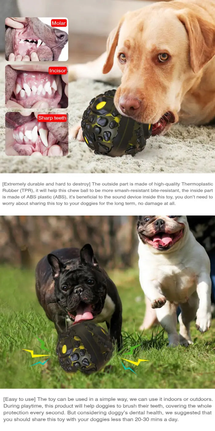 The Ball Depot dog ball: Meteorite Strange Sound Teether Dog Ball