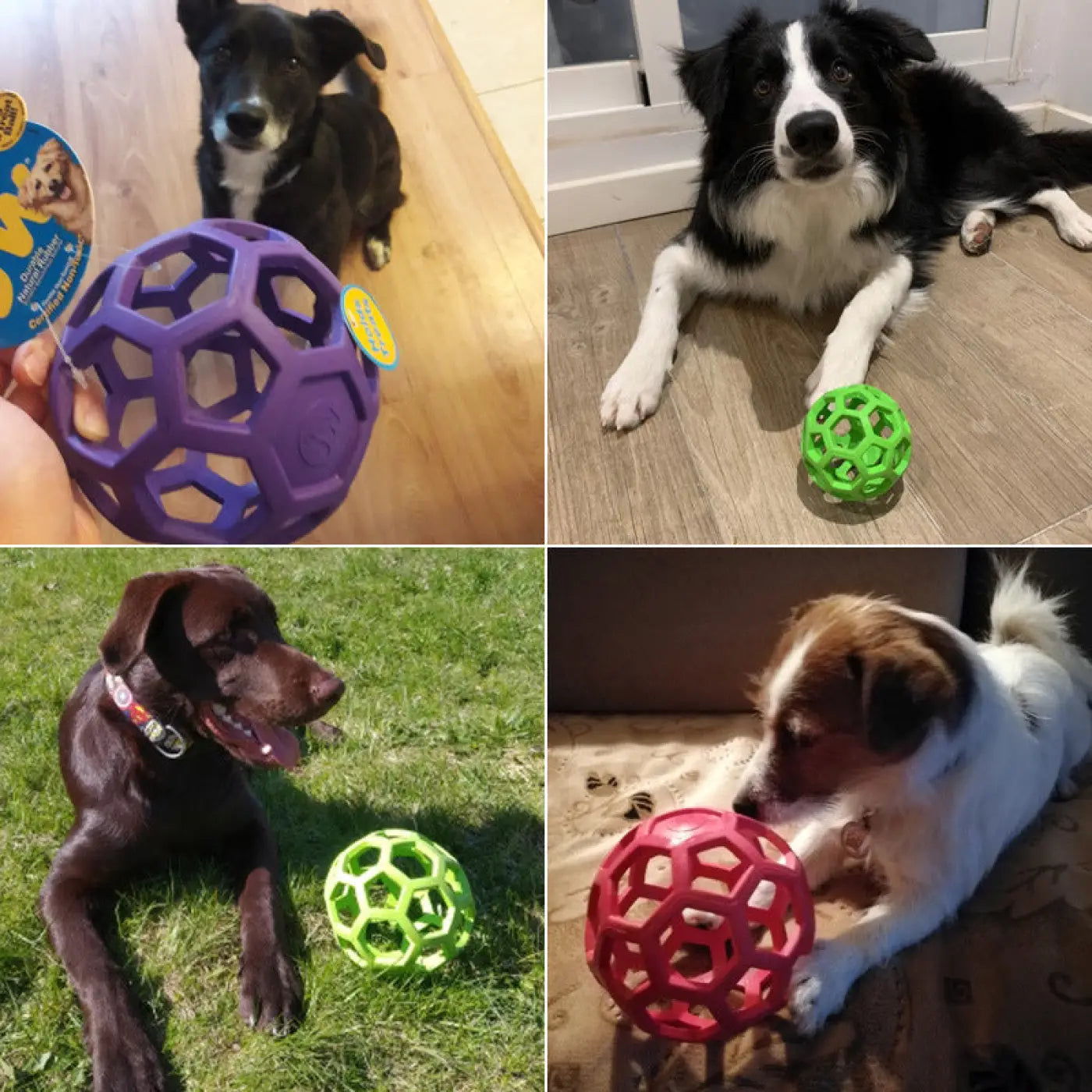 The Ball Depot dog ball: Milk scent leaking food ball
