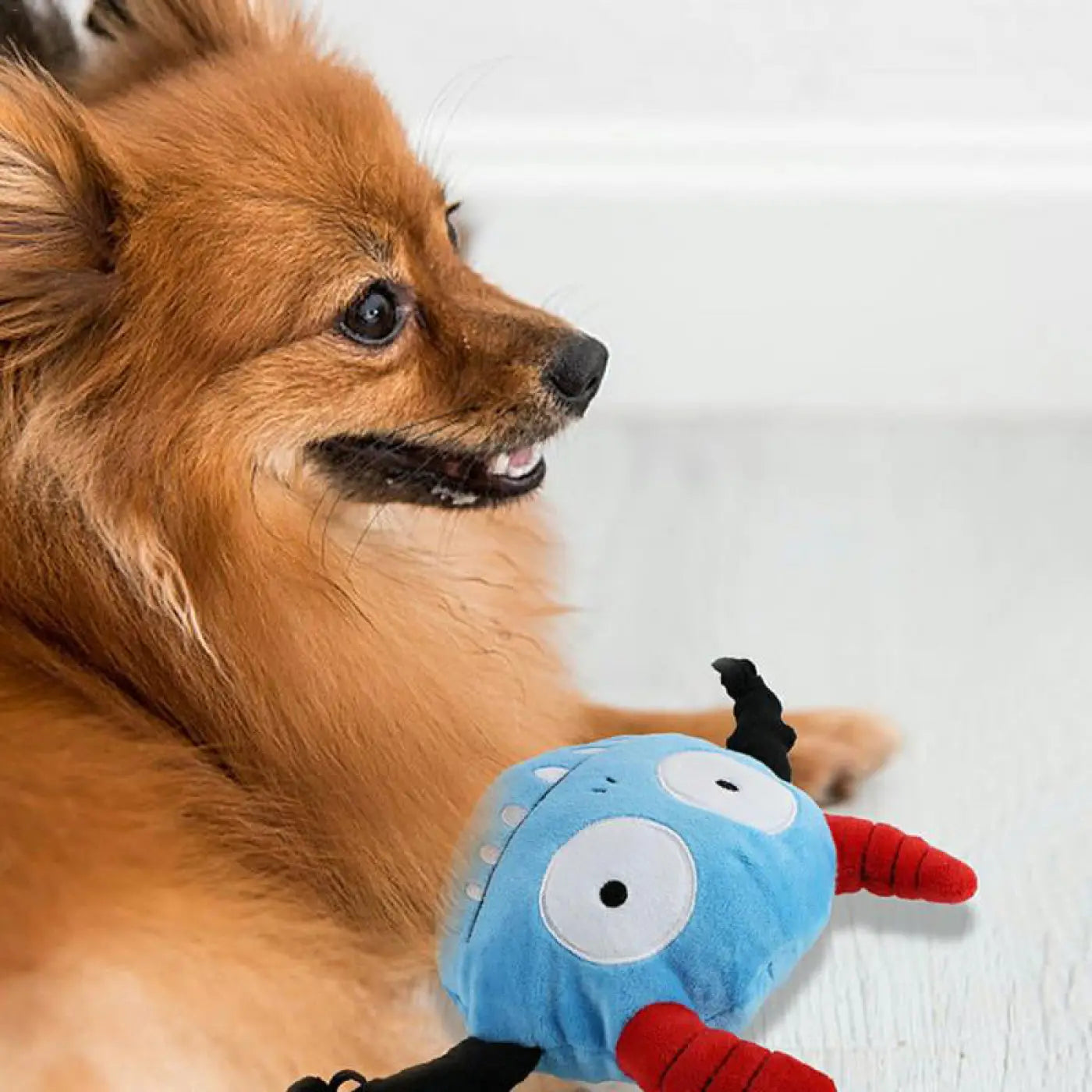 The Ball Depot dog ball: Music Bouncing Dog Ball