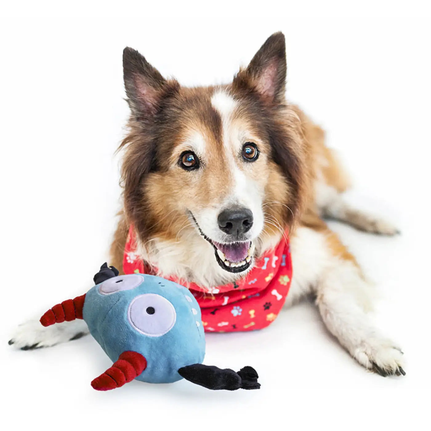 The Ball Depot dog ball: Music Bouncing Dog Ball