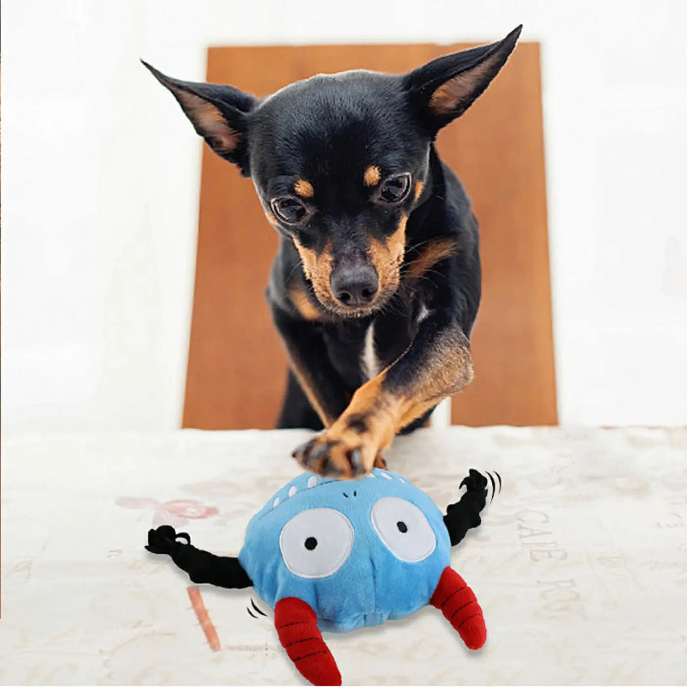 The Ball Depot dog ball: Music Bouncing Dog Ball