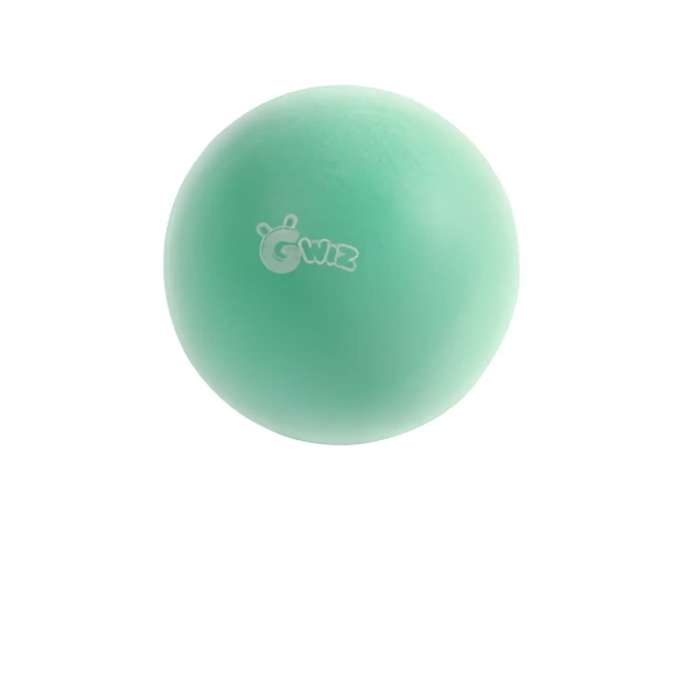 The Ball Depot Accessories: Mute Bounce Children Ball