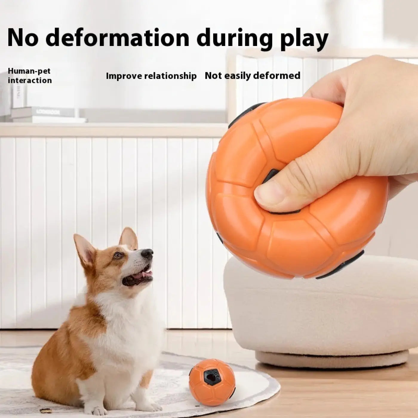 The Ball Depot dog ball: Nibbling Teeth Grinding Dog Ball