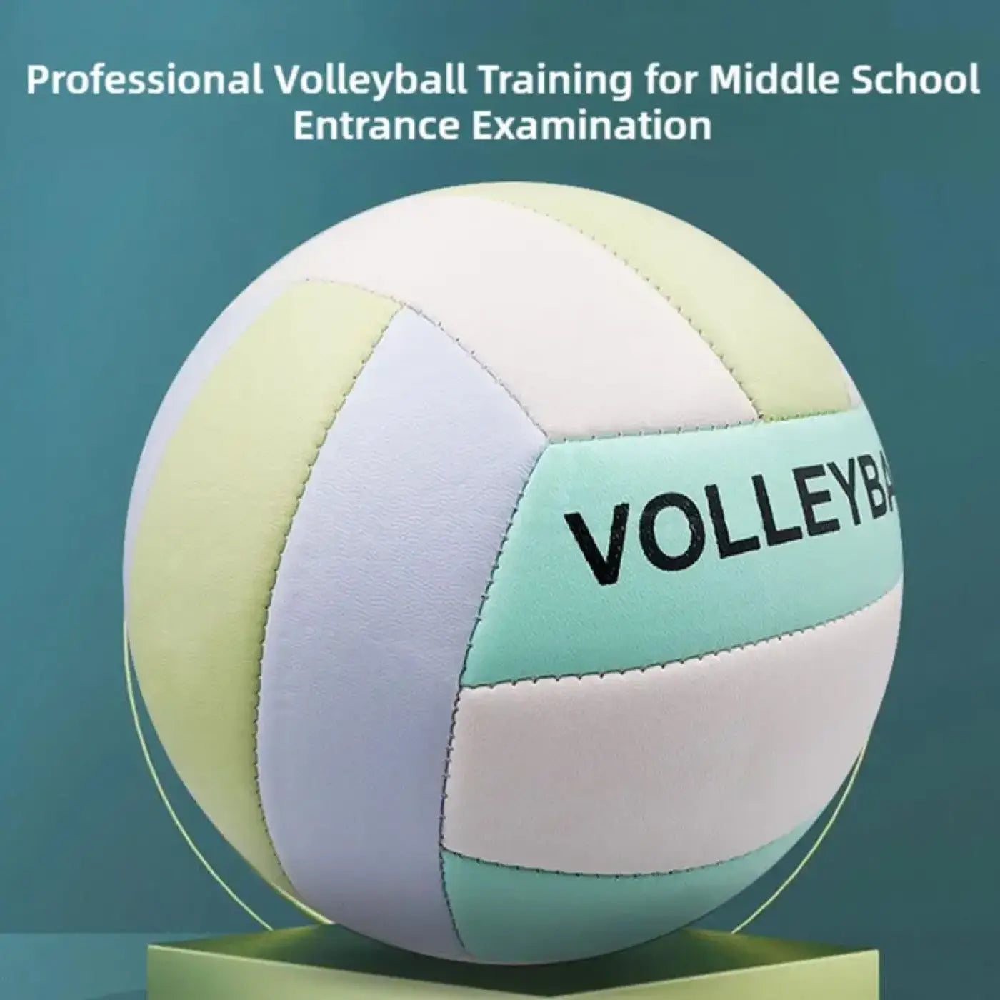The Ball Depot volley ball: Official Training Competition Volleyball