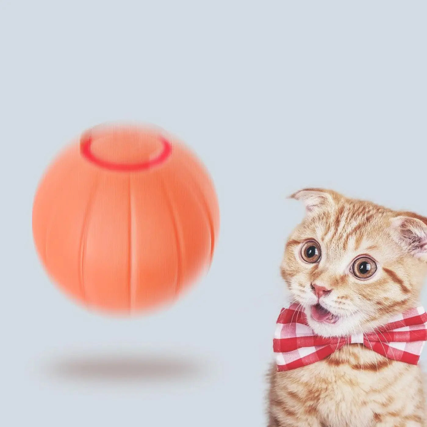 The Ball Depot Cat Toys: Orange Cat Bounce Ball
