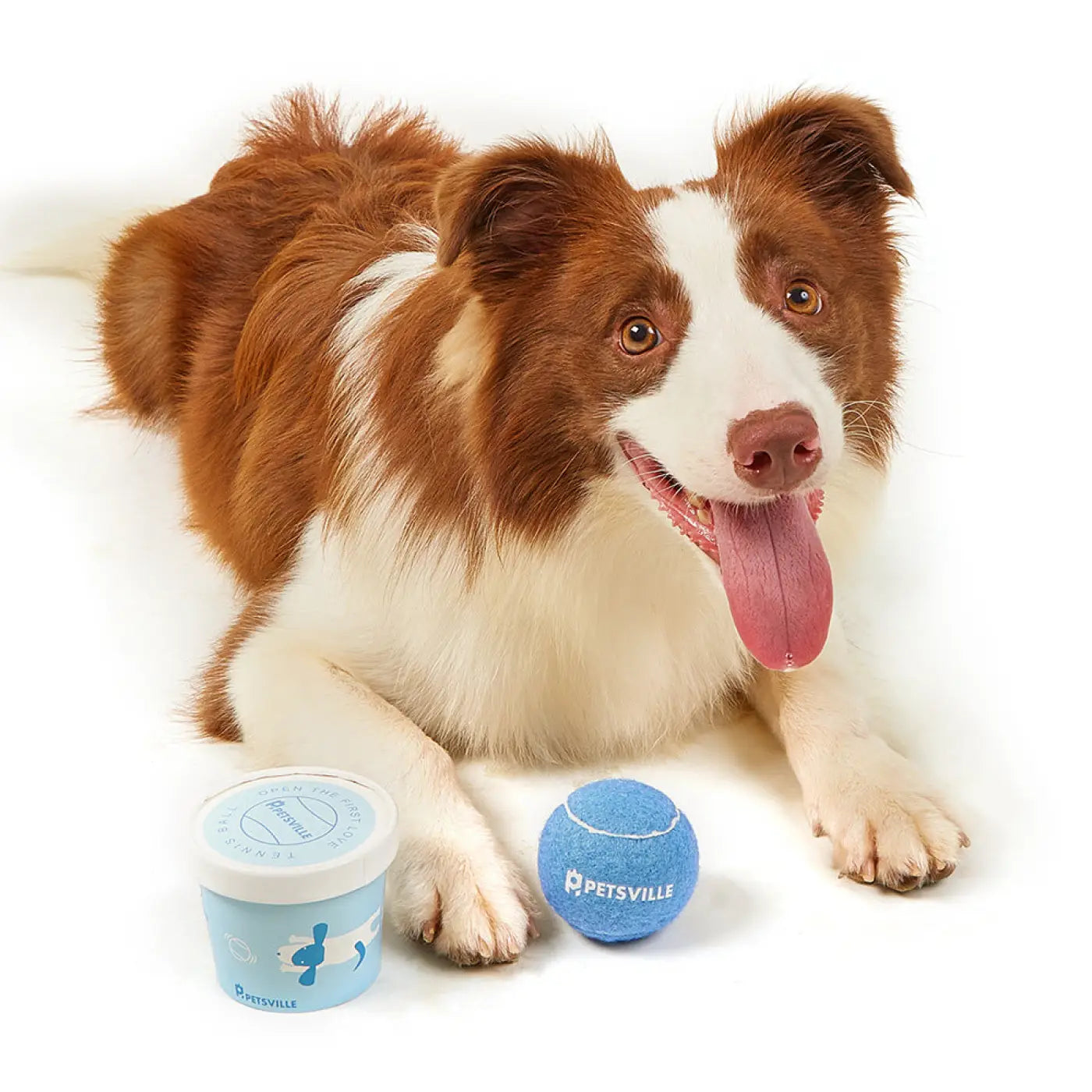 The Ball Depot dog ball: Outdoor Interactive Tennis Dog Ball