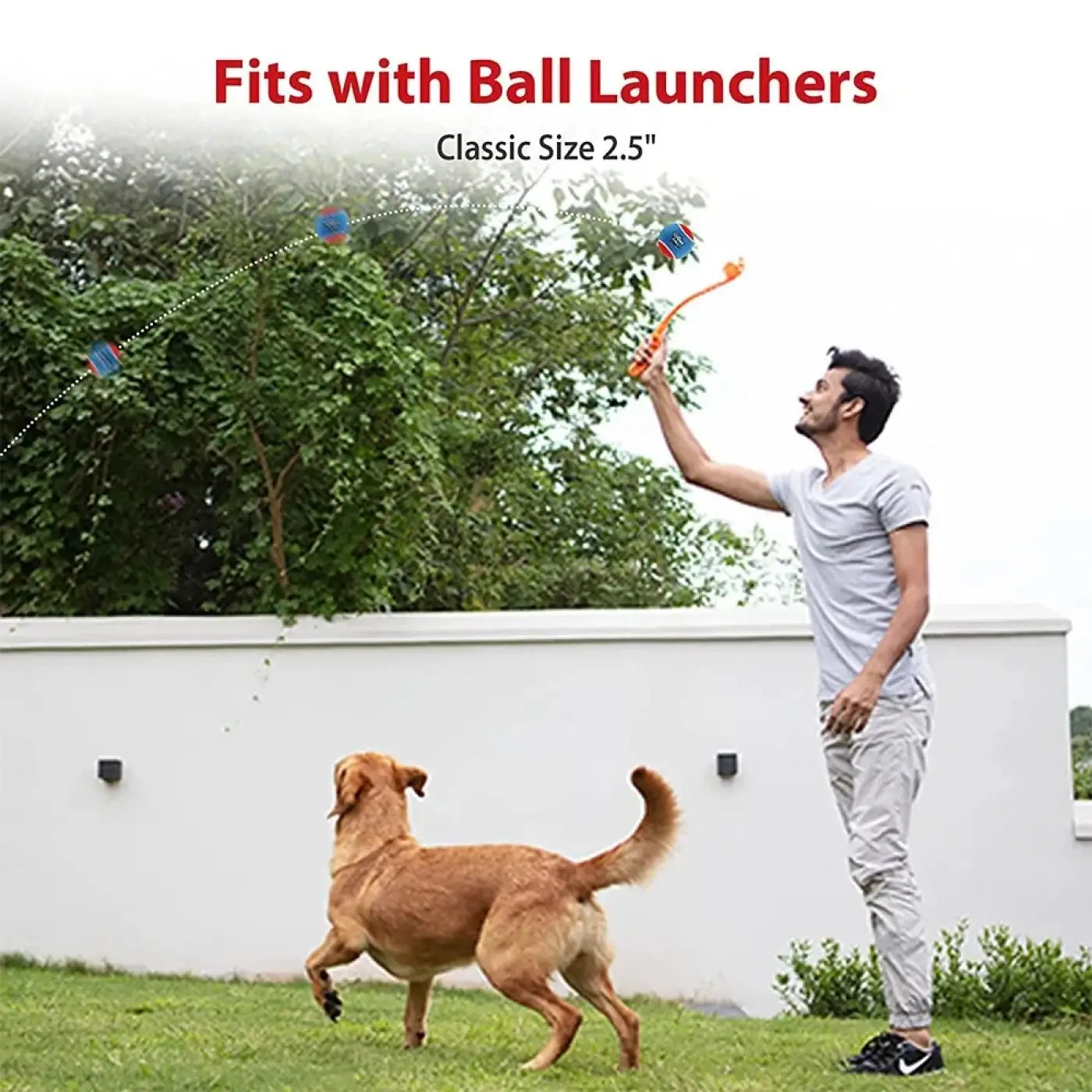 The Ball Depot dog balls: OUZEY 4Pcs/Set Pets Dog Squeaky Tennis Ball