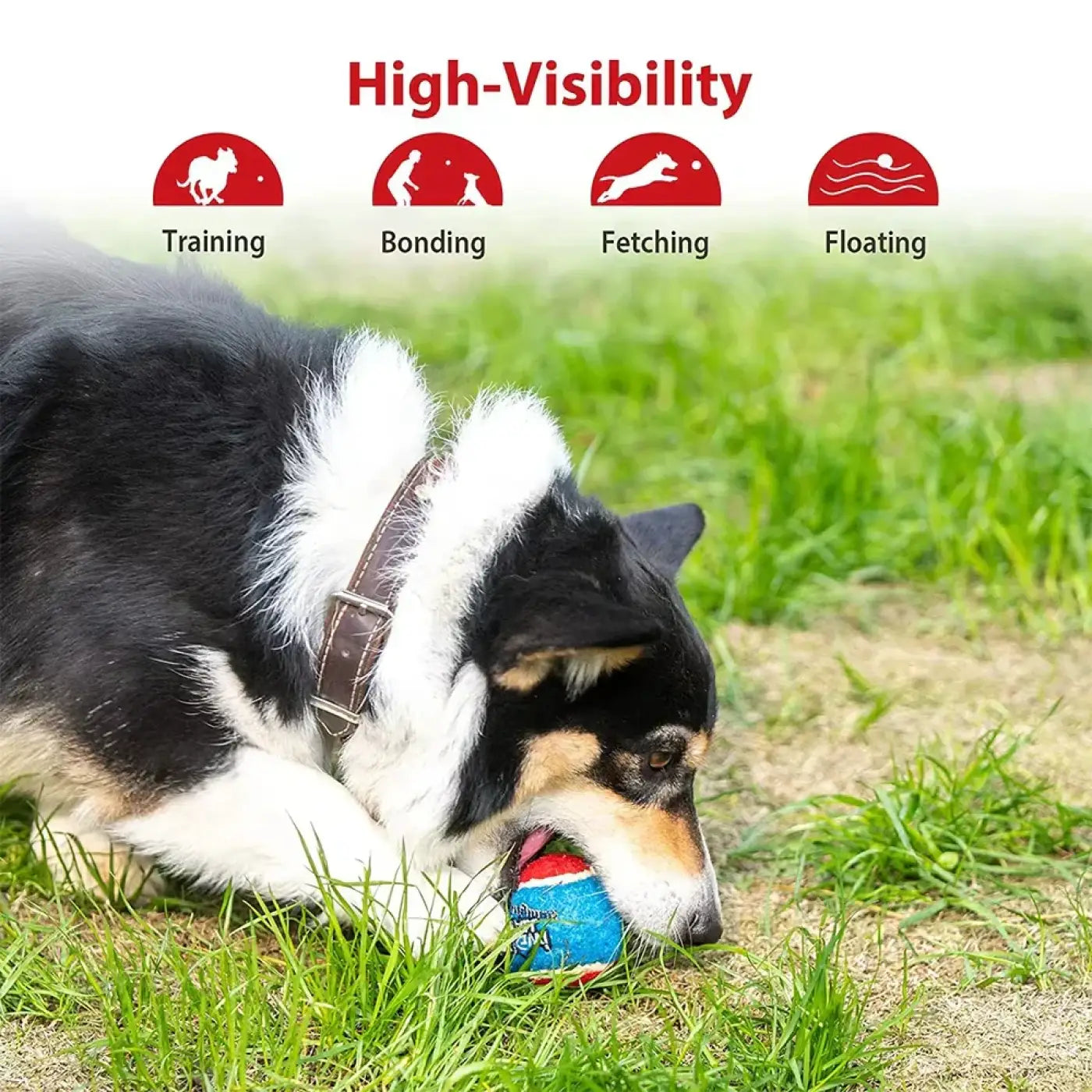 The Ball Depot dog balls: OUZEY 4Pcs/Set Pets Dog Squeaky Tennis Ball