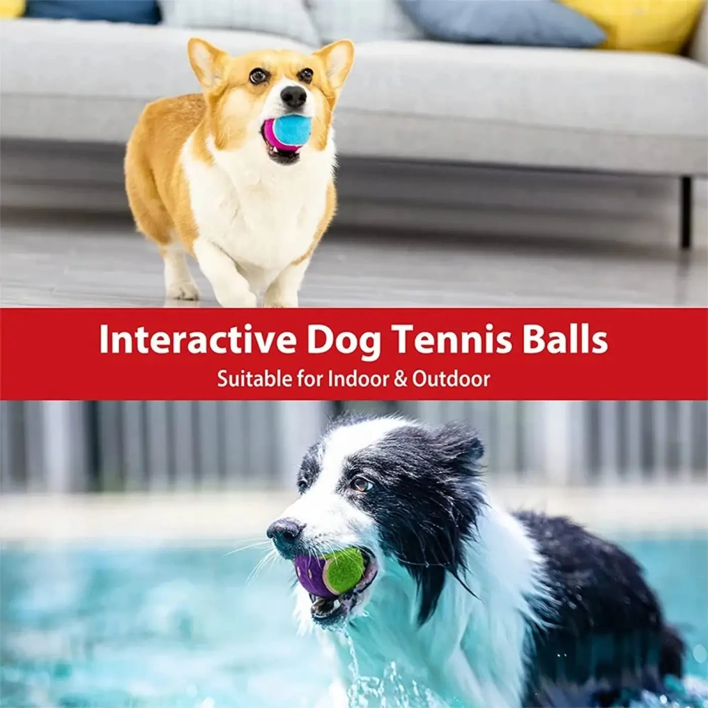 The Ball Depot dog balls: OUZEY 4Pcs/Set Pets Dog Squeaky Tennis Ball
