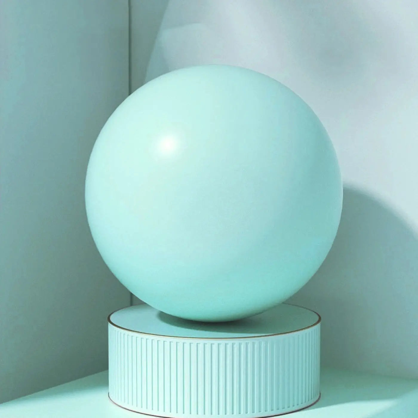 The Ball Depot yoga ball: Pelvic Floor Muscle Training Fitness Ball
