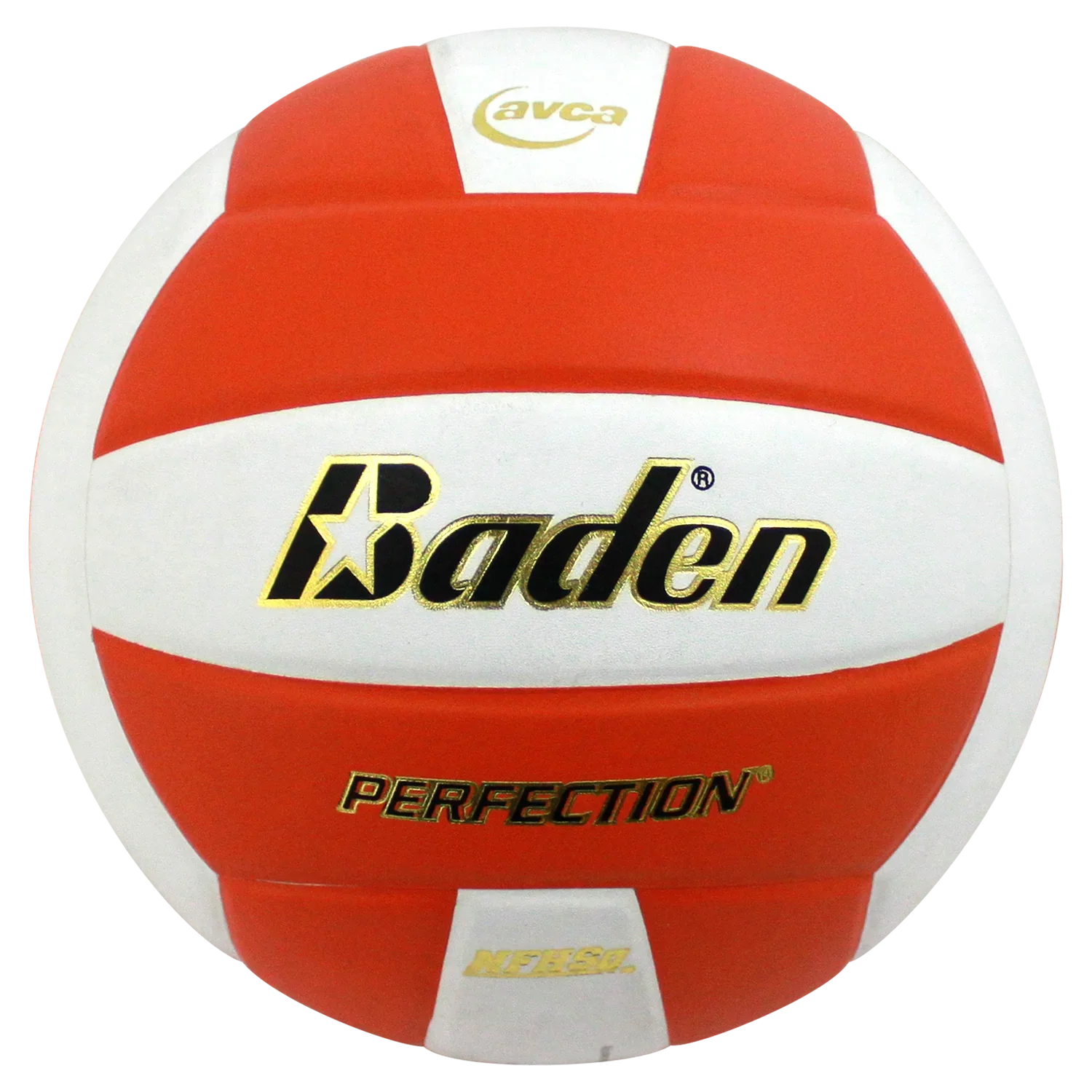 The Ball Depot volleyball: Baden Perfection Leather Volleyball