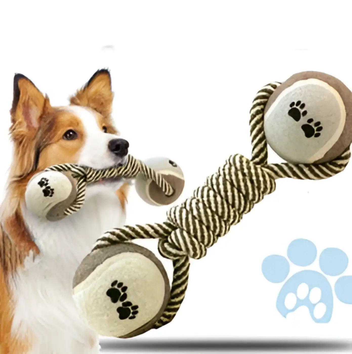 The Ball Depot dog ball: Pet Dumbbell Rope Tennis Ball