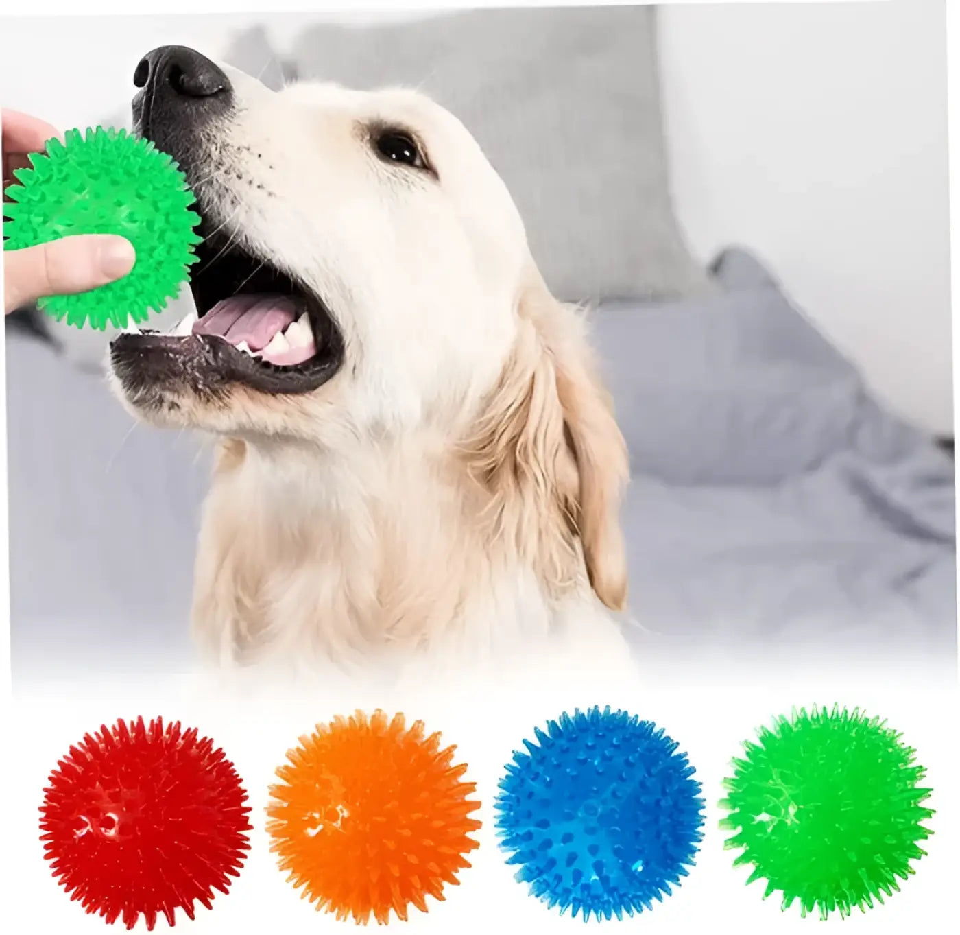 The Ball Depot dog Balls: Petizer 3-Pack Squeaky Dog Ball