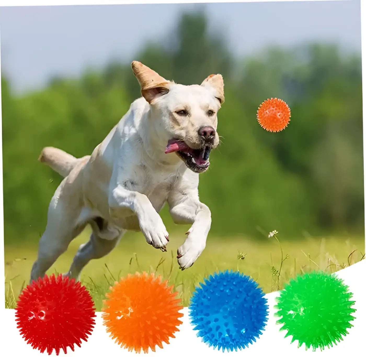 The Ball Depot dog Balls: Petizer 3-Pack Squeaky Dog Ball