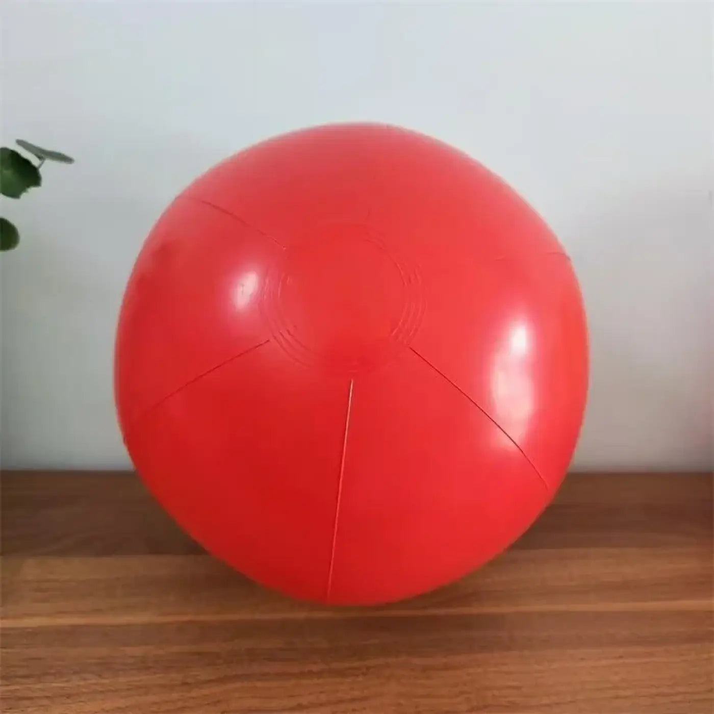 The Ball Depot beach ball: Pokemon Inflatable Beach Ball