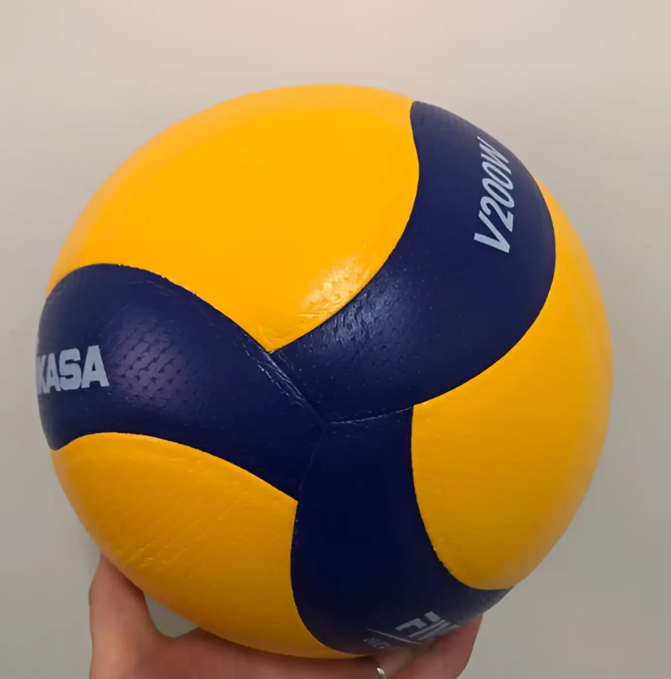 The Ball Depot volleyball: Professional Designer Volleyball