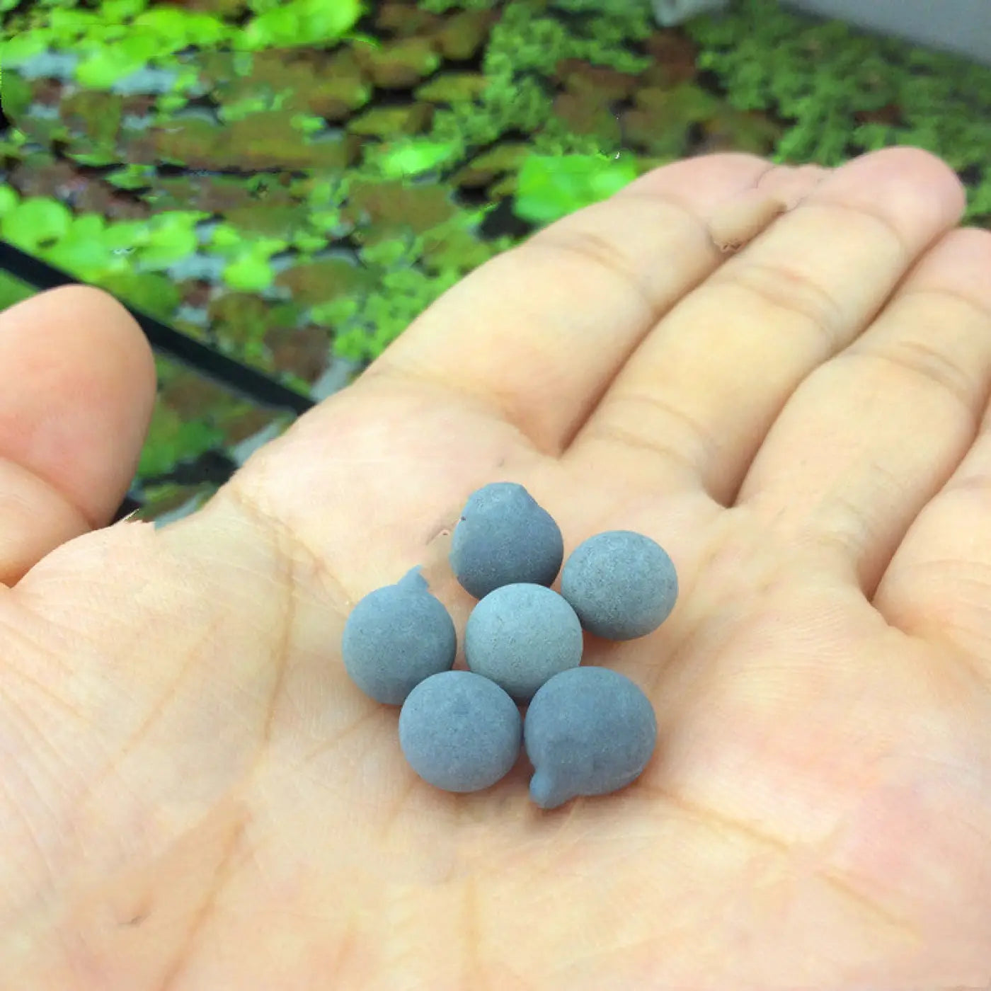 The Ball Depot novelty ball: Purify Aquarium Mineral Balls