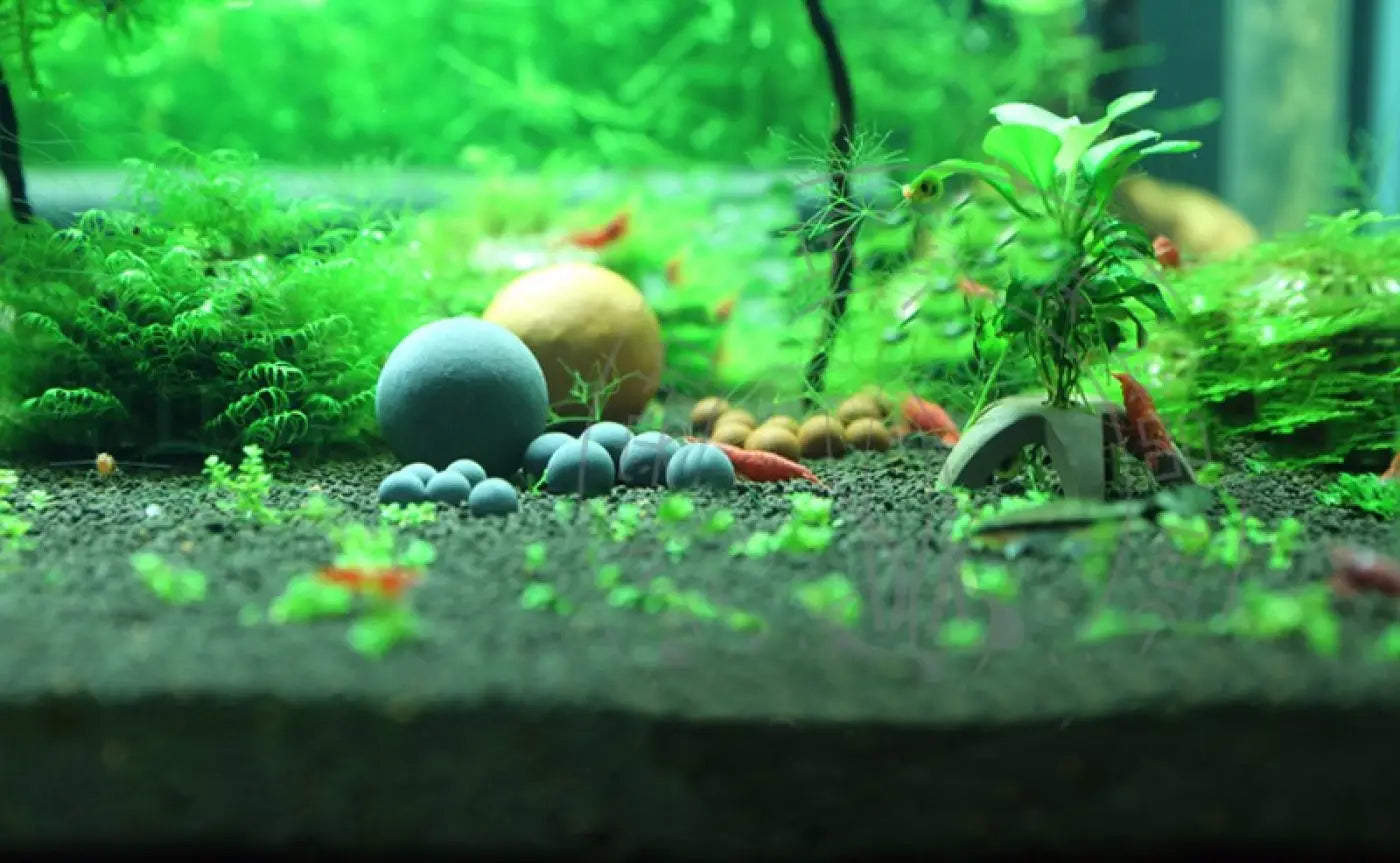 The Ball Depot novelty ball: Purify Aquarium Mineral Balls