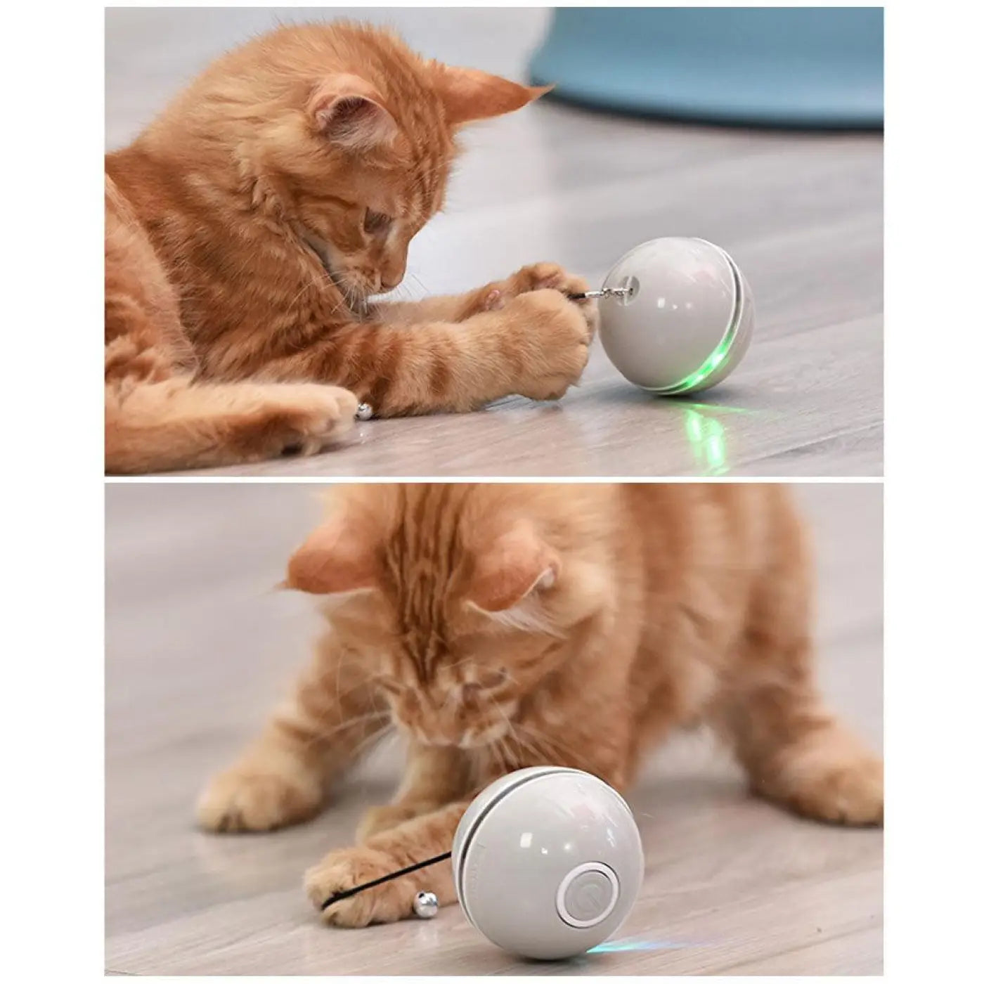 Dog Hugs Cat Cat Toys: Rainbow Laser Cat Ball