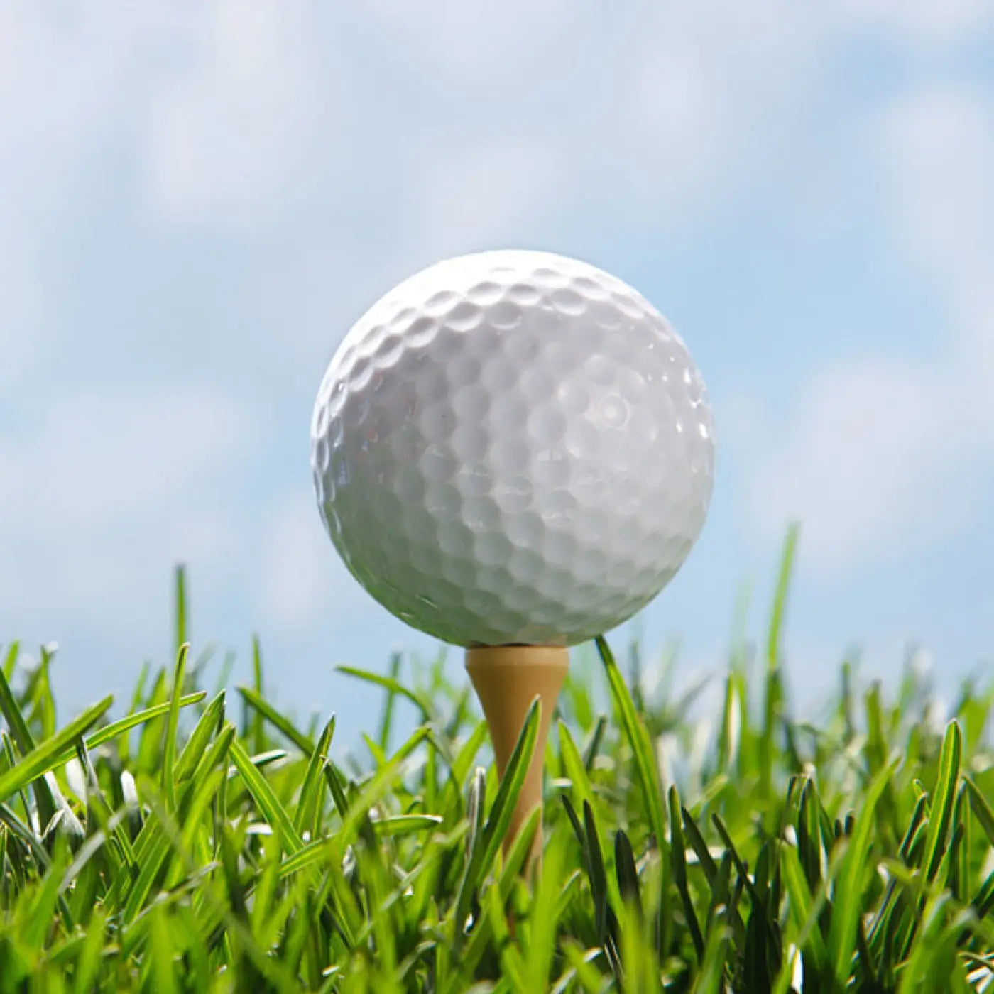 The Ball Depot golf ball: Sarin Double Deck Golf Ball