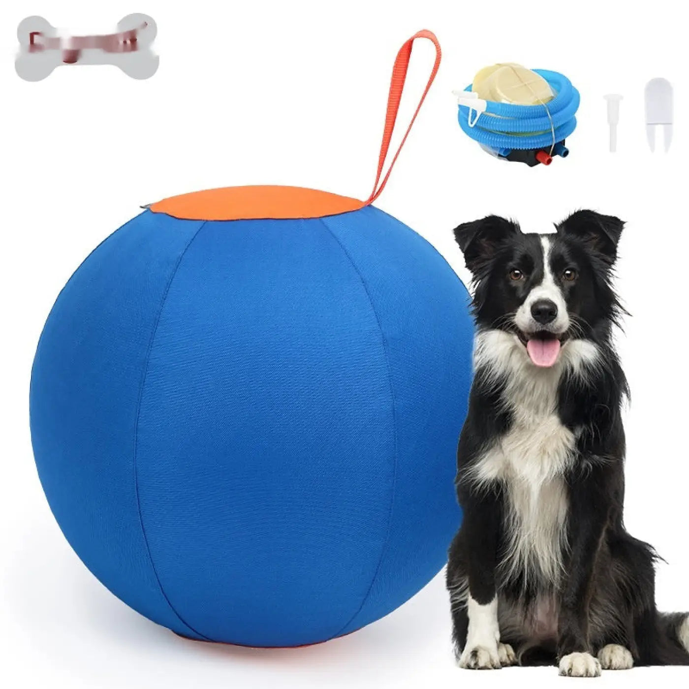 The Ball Depot dog ball: Self-Hi Pet Training Ball